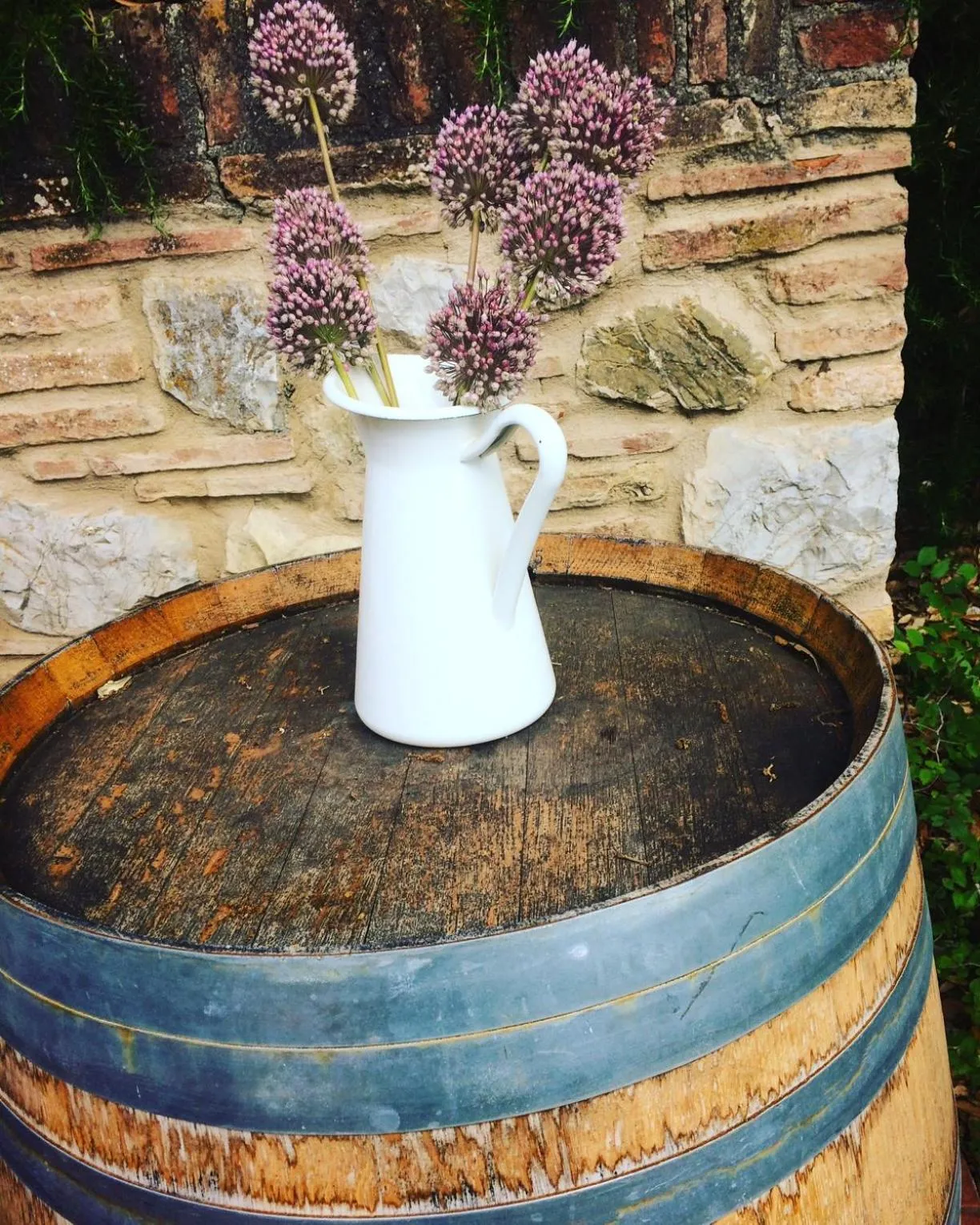 Garden in La Locanda del Barbagianni