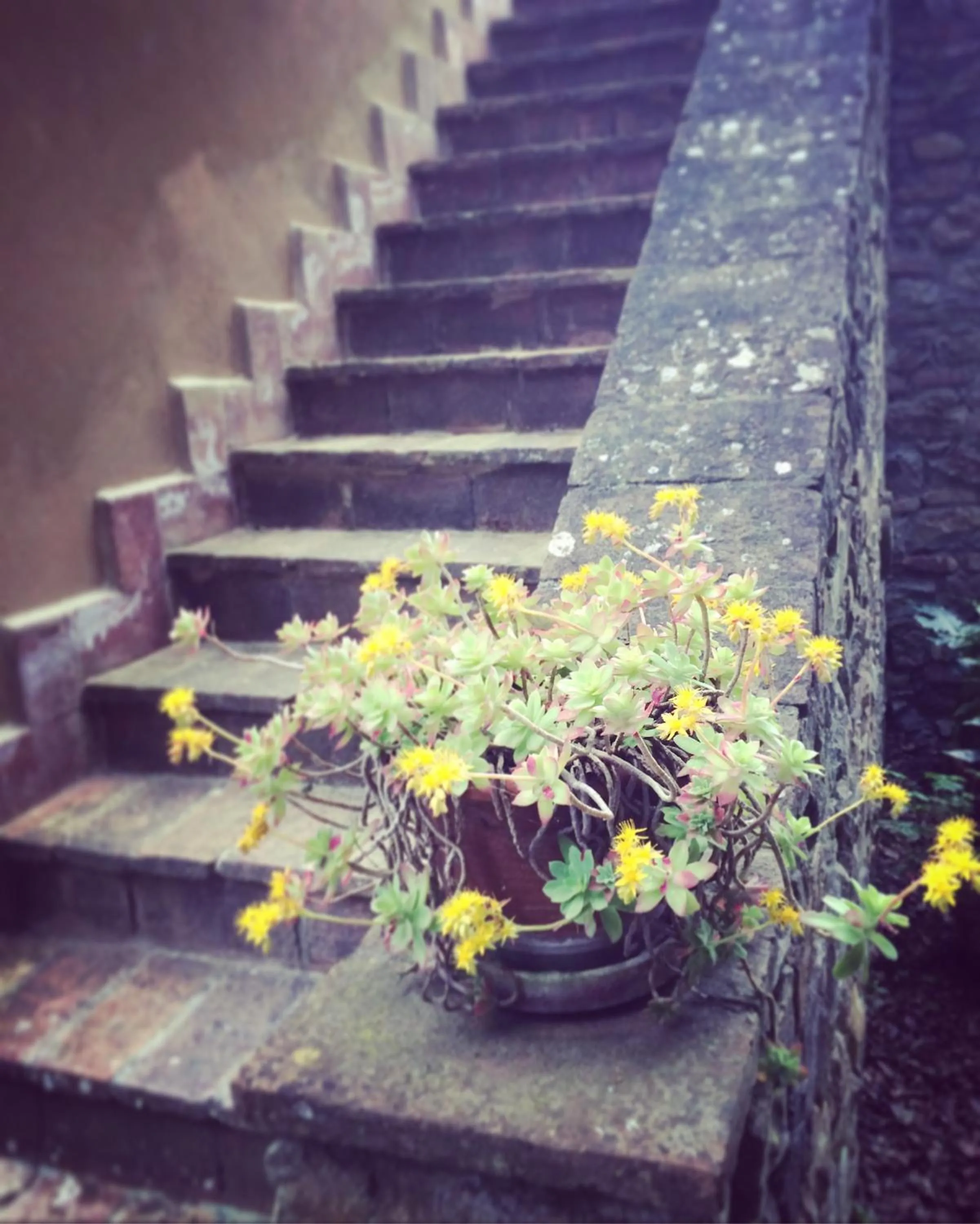 Facade/entrance in La Locanda del Barbagianni