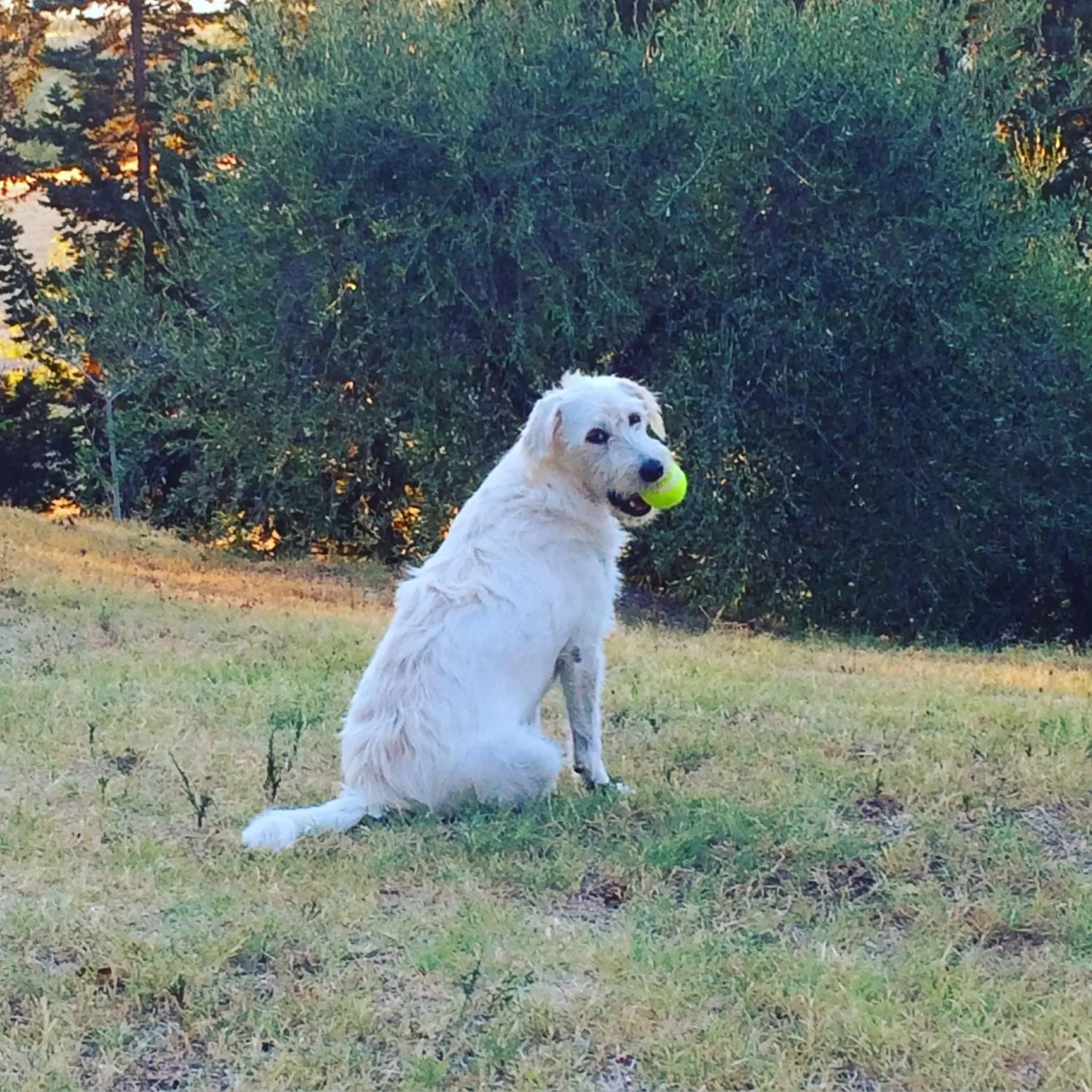 Garden in La Locanda del Barbagianni