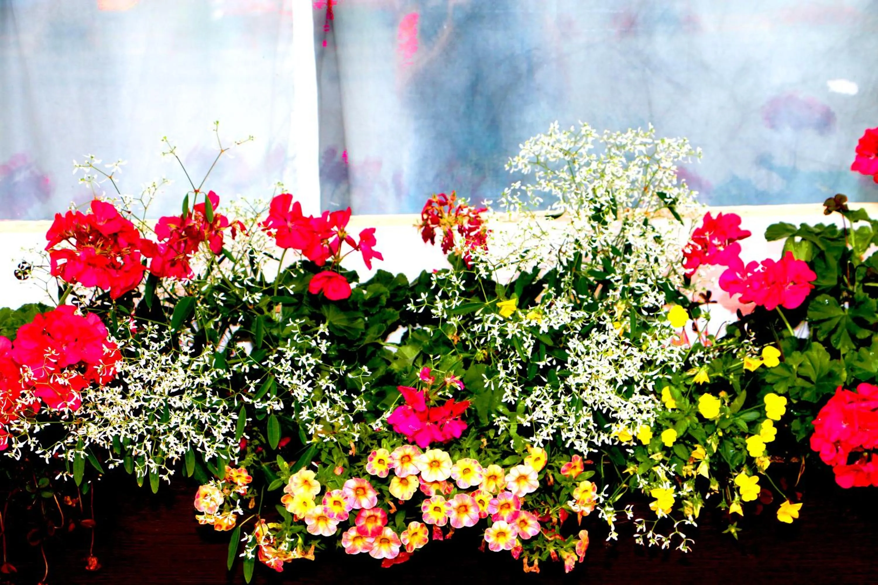 Decorative detail in Motel Centre-Ville