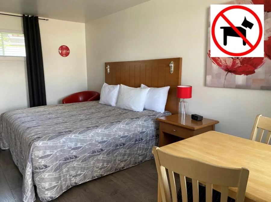 Bed in Motel Centre-Ville