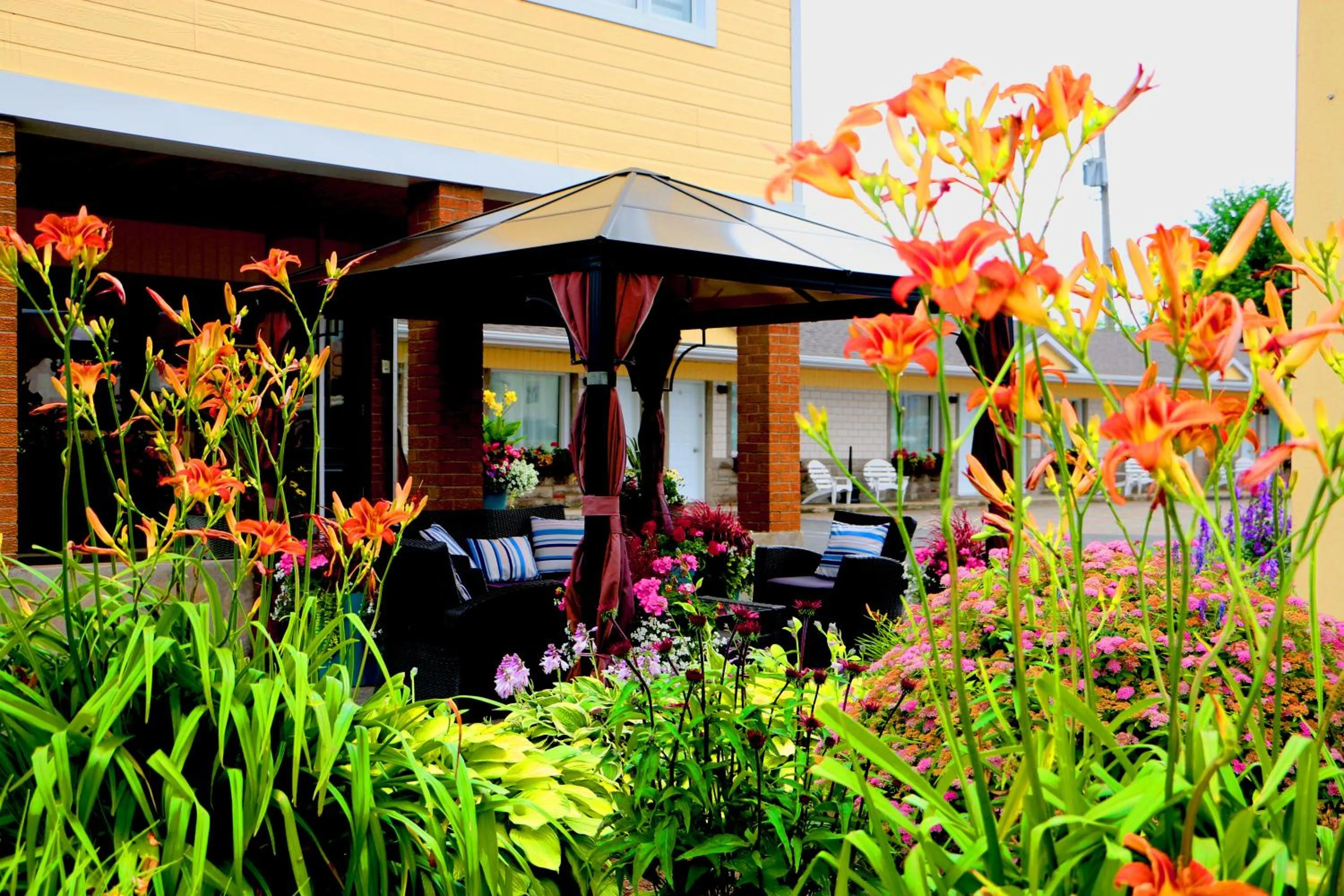 Balcony/Terrace in Motel Centre-Ville