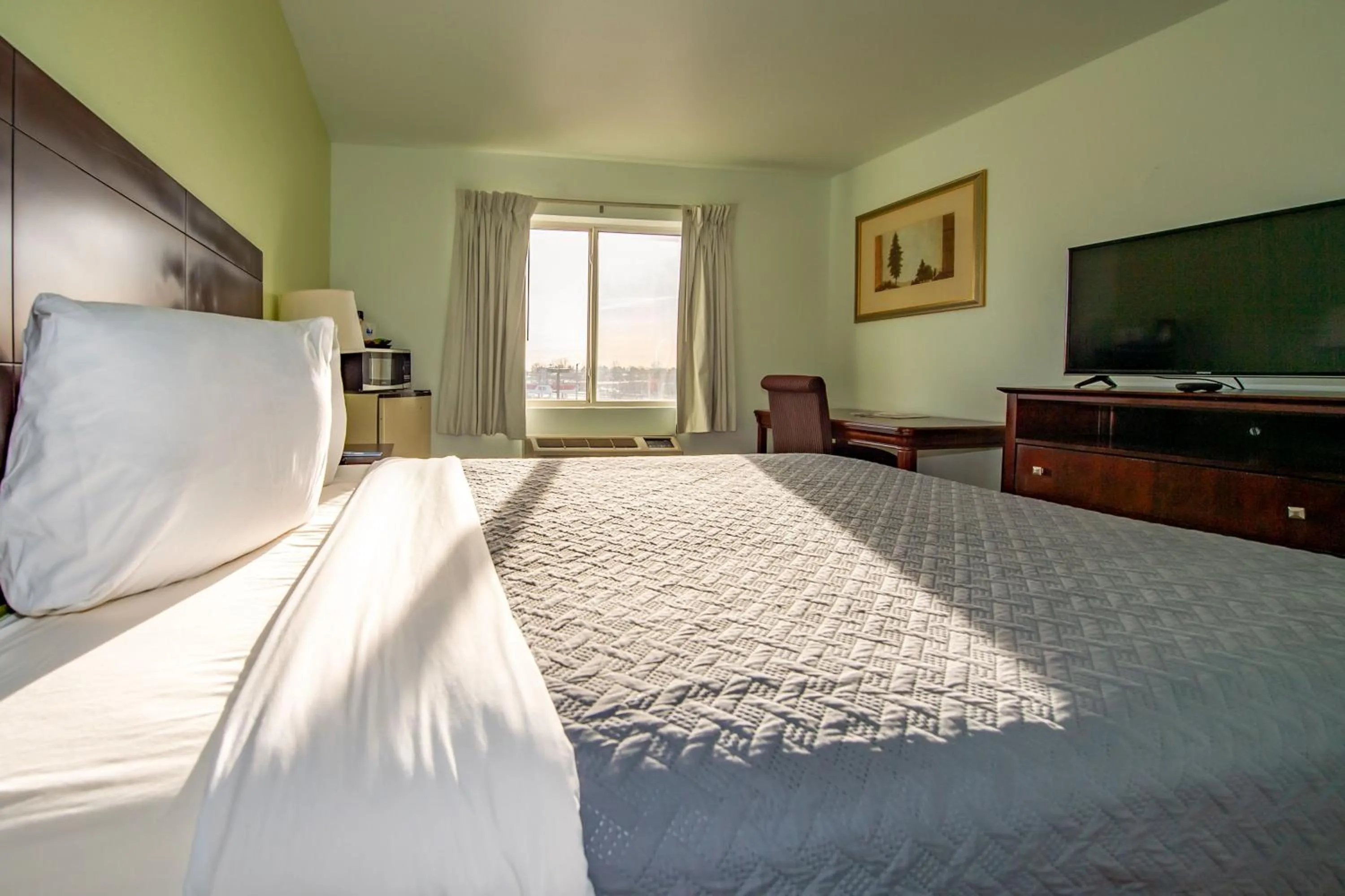 Bed in Rodeway Inn Central Colorado Springs