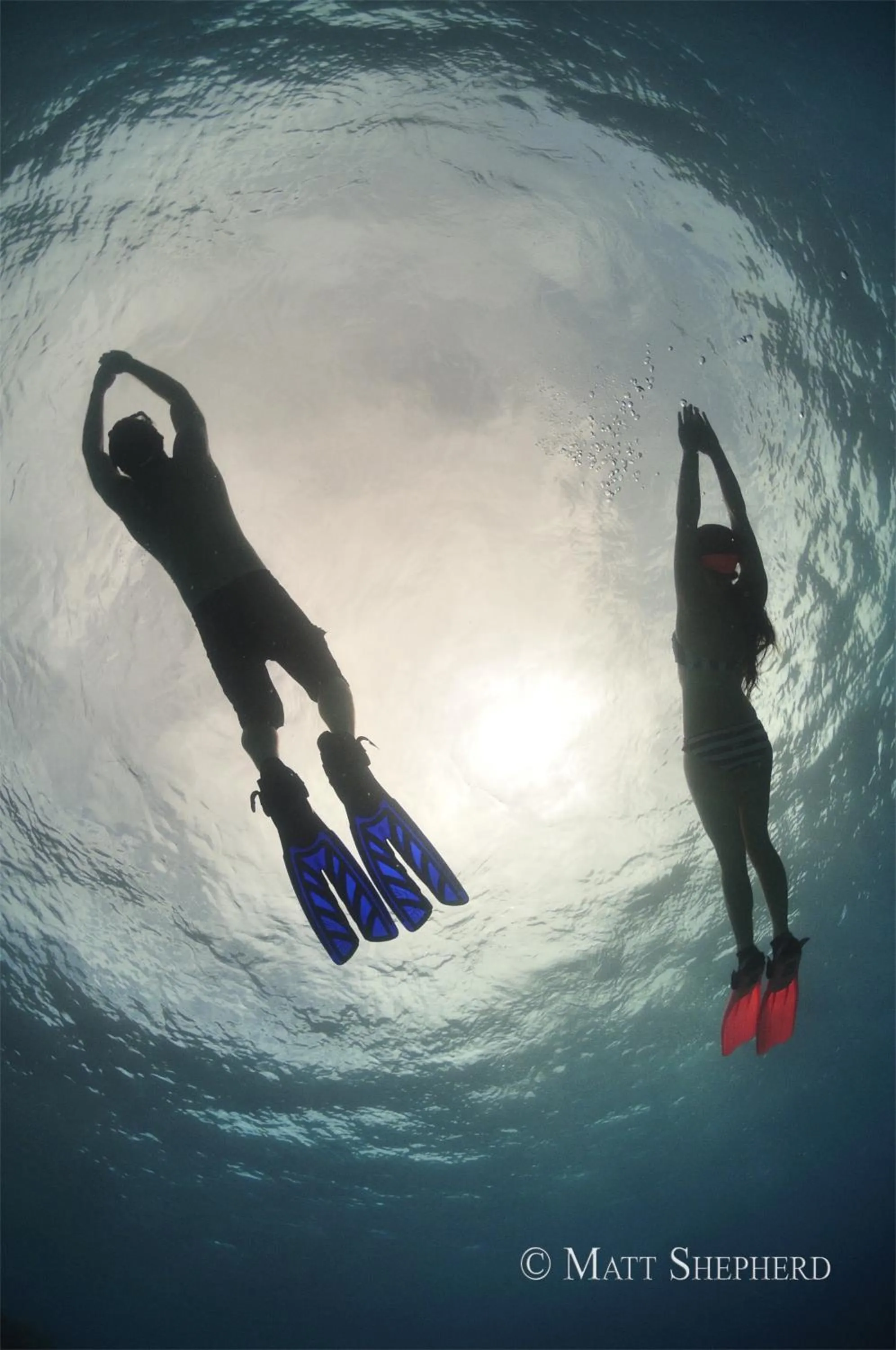 Snorkeling in Kosrae Nautilus Resort