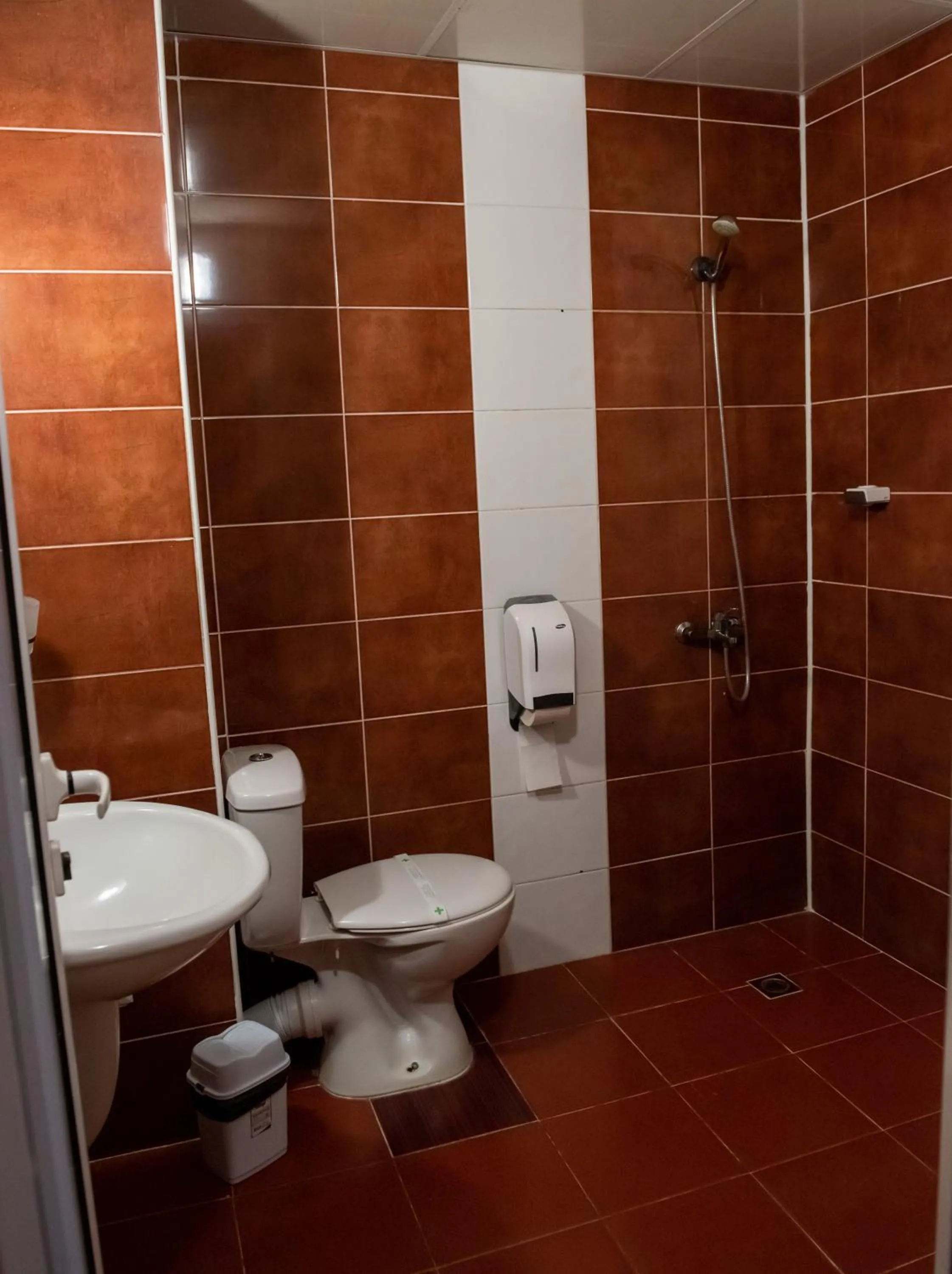 Bathroom in Hotel Monte Cristo