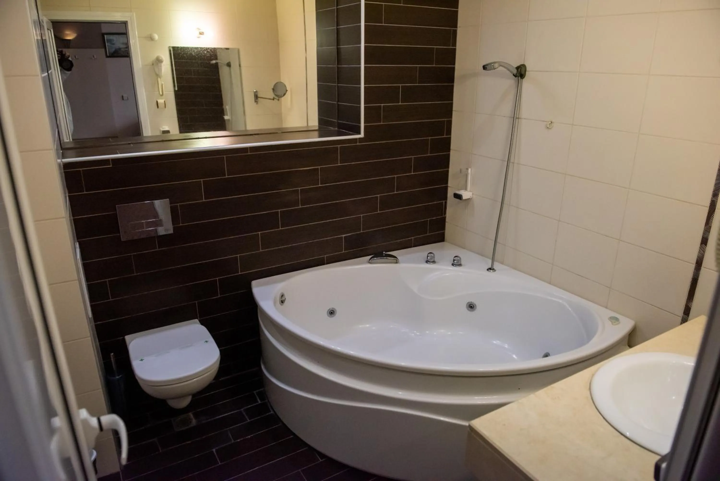 Toilet in Hotel Monte Cristo