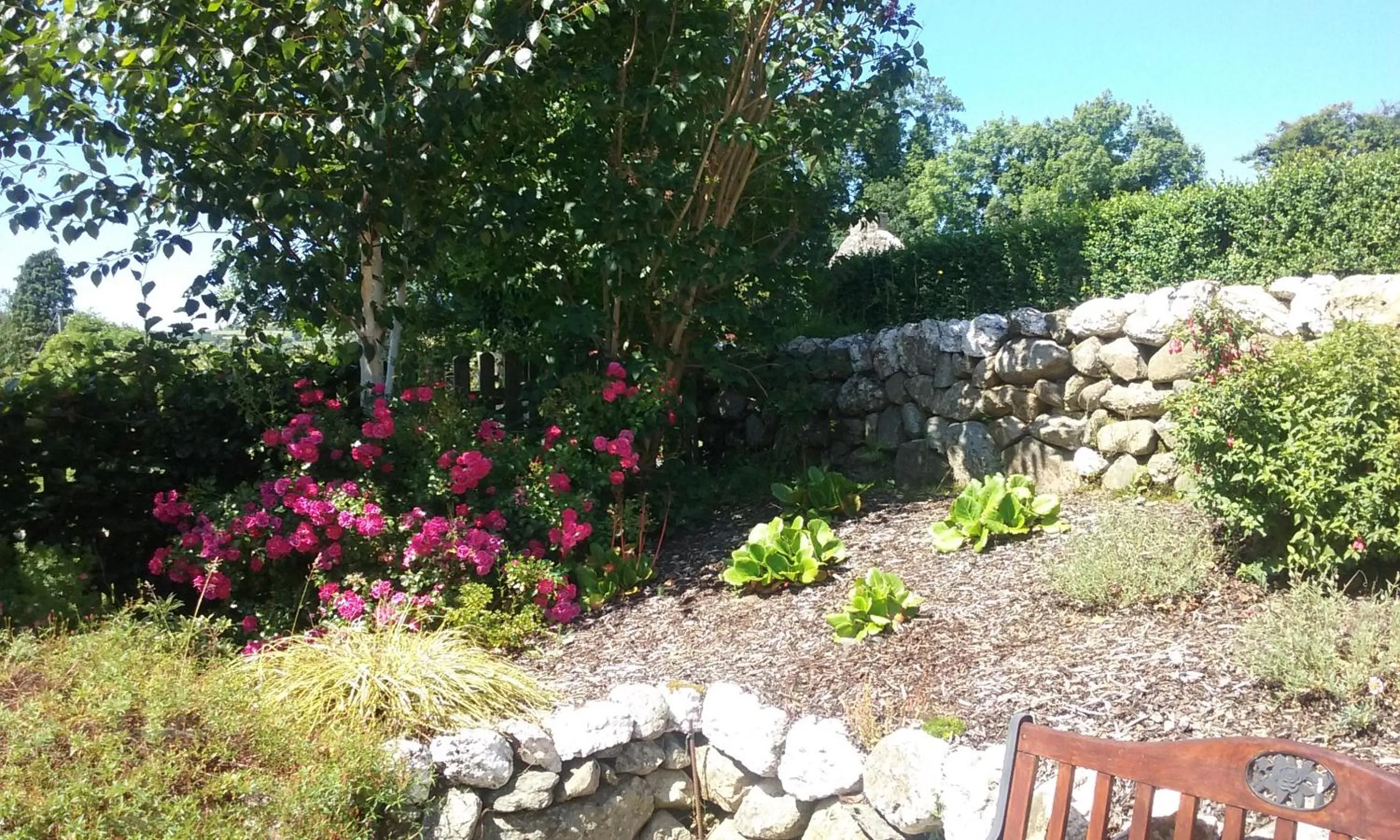 Garden in Macreddin Rock Bed & Breakfast