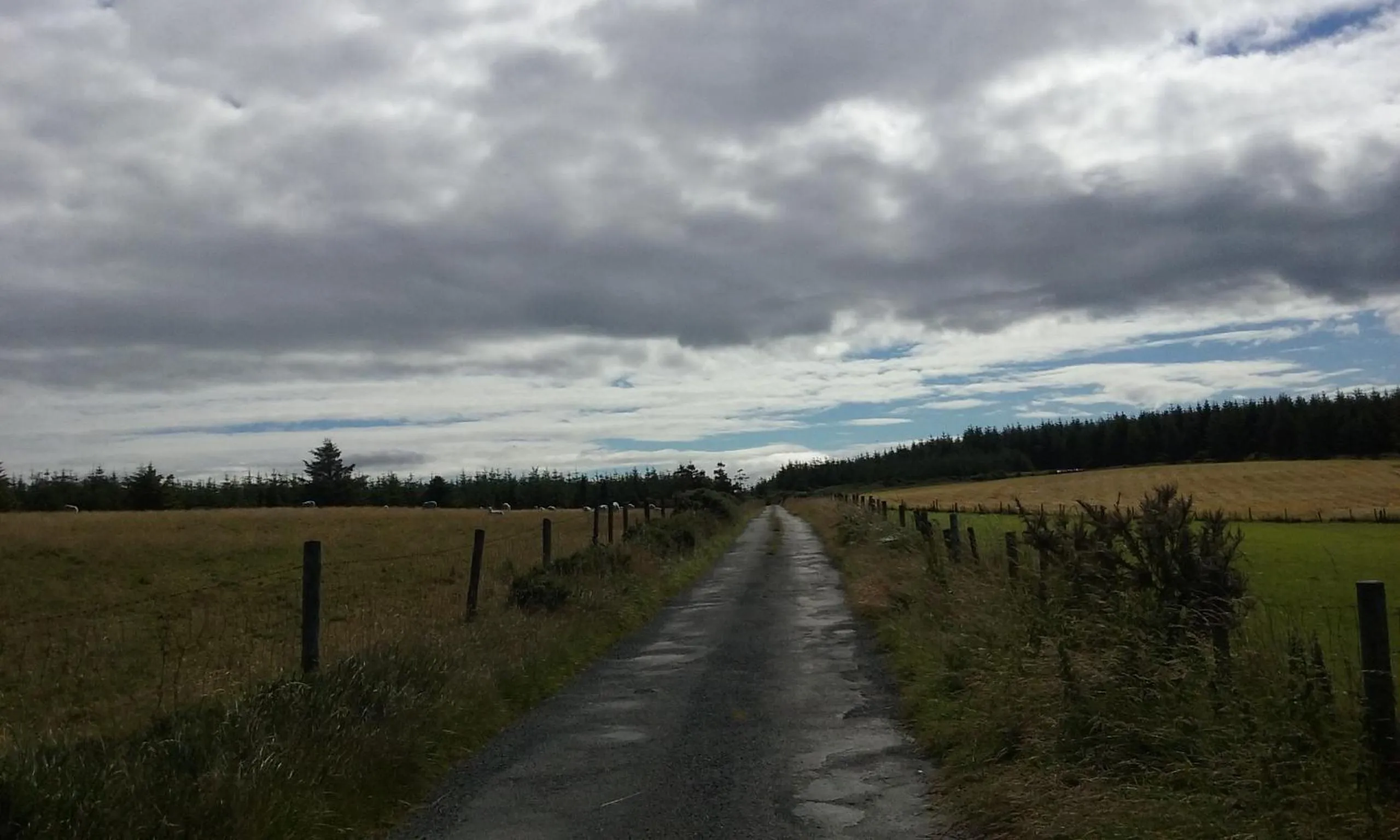Natural landscape in Macreddin Rock Bed & Breakfast
