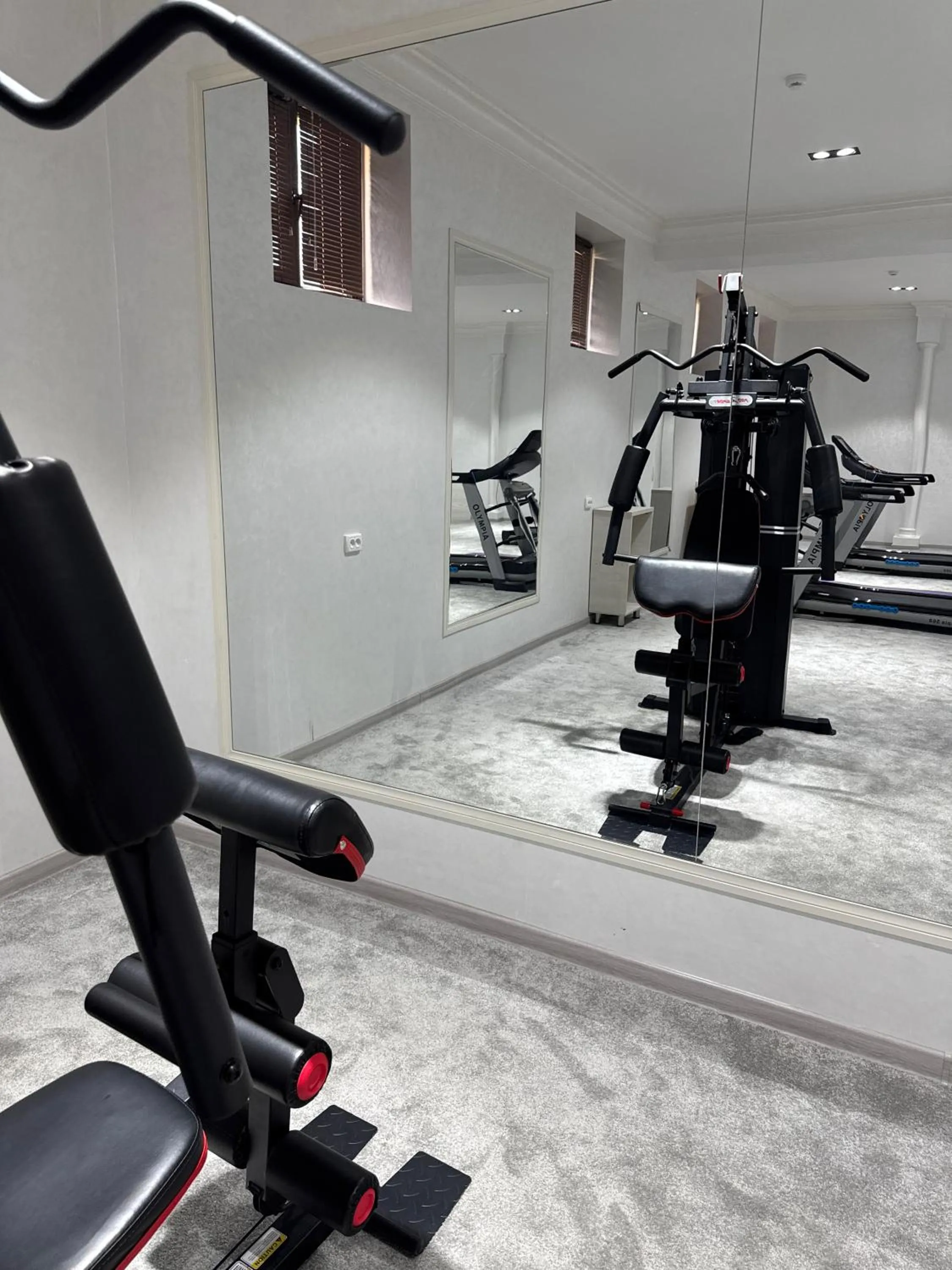 Fitness centre/facilities in Ark Hotel