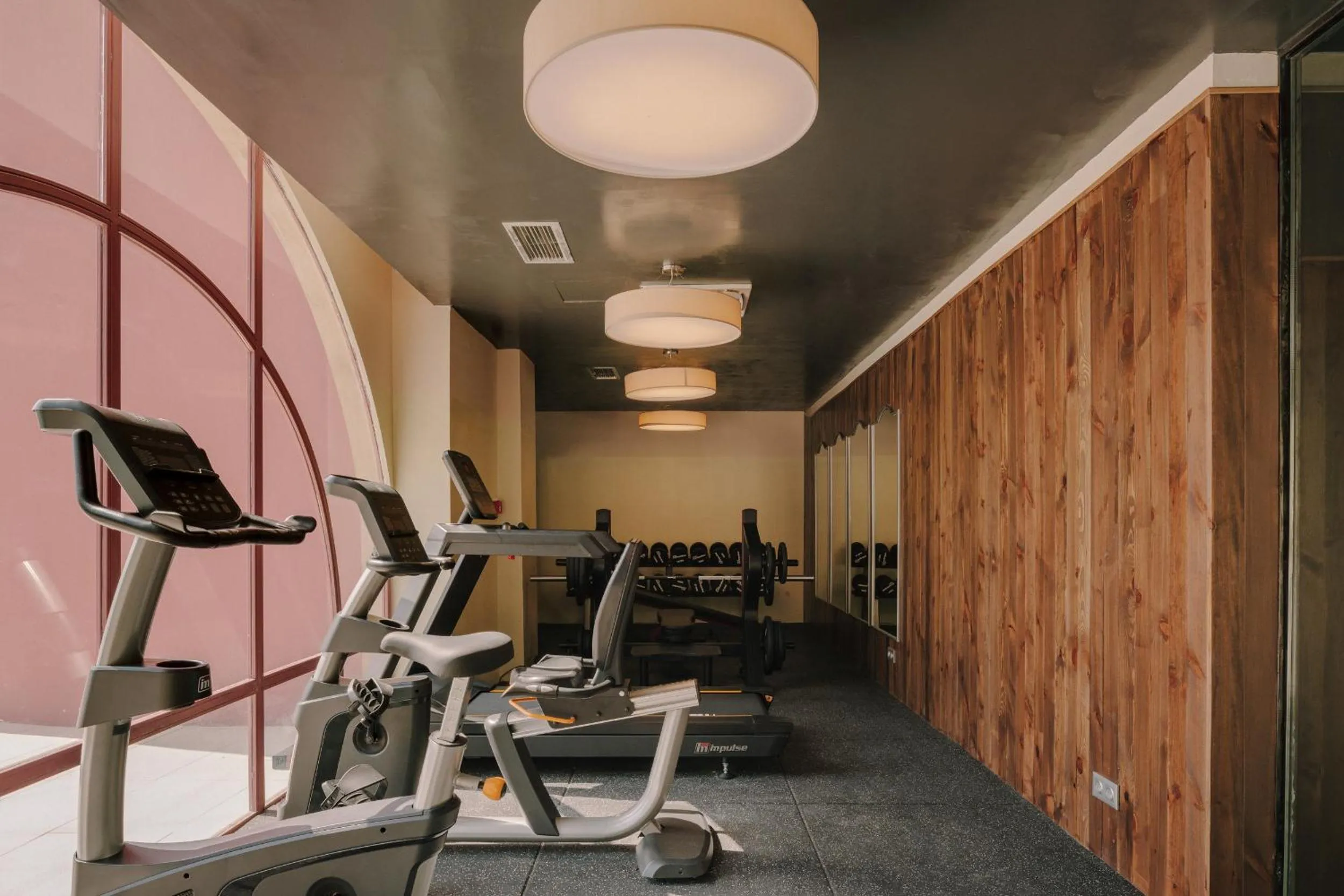 Fitness centre/facilities in Pabellon Hotel