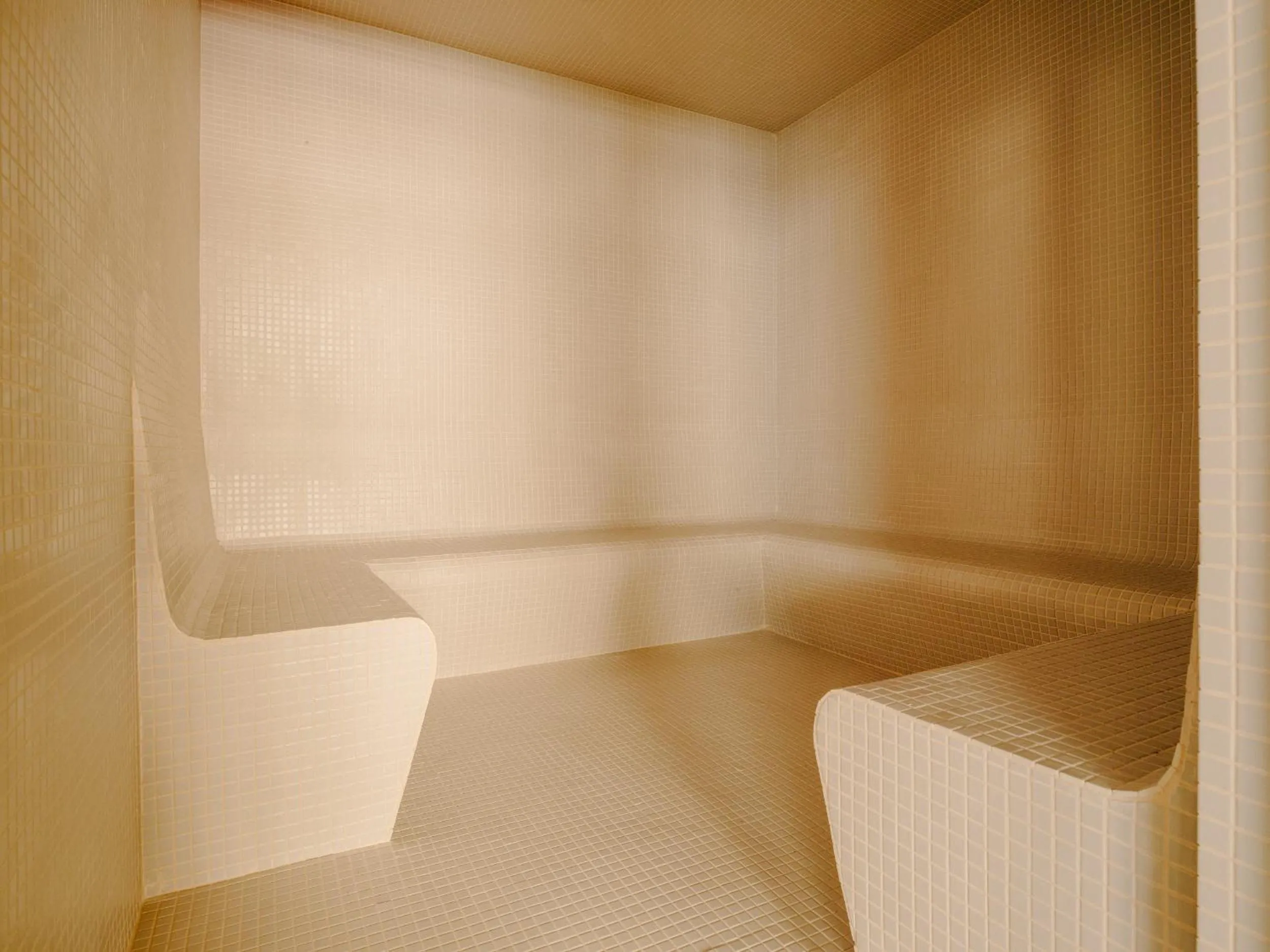 Steam room in Pabellon Hotel