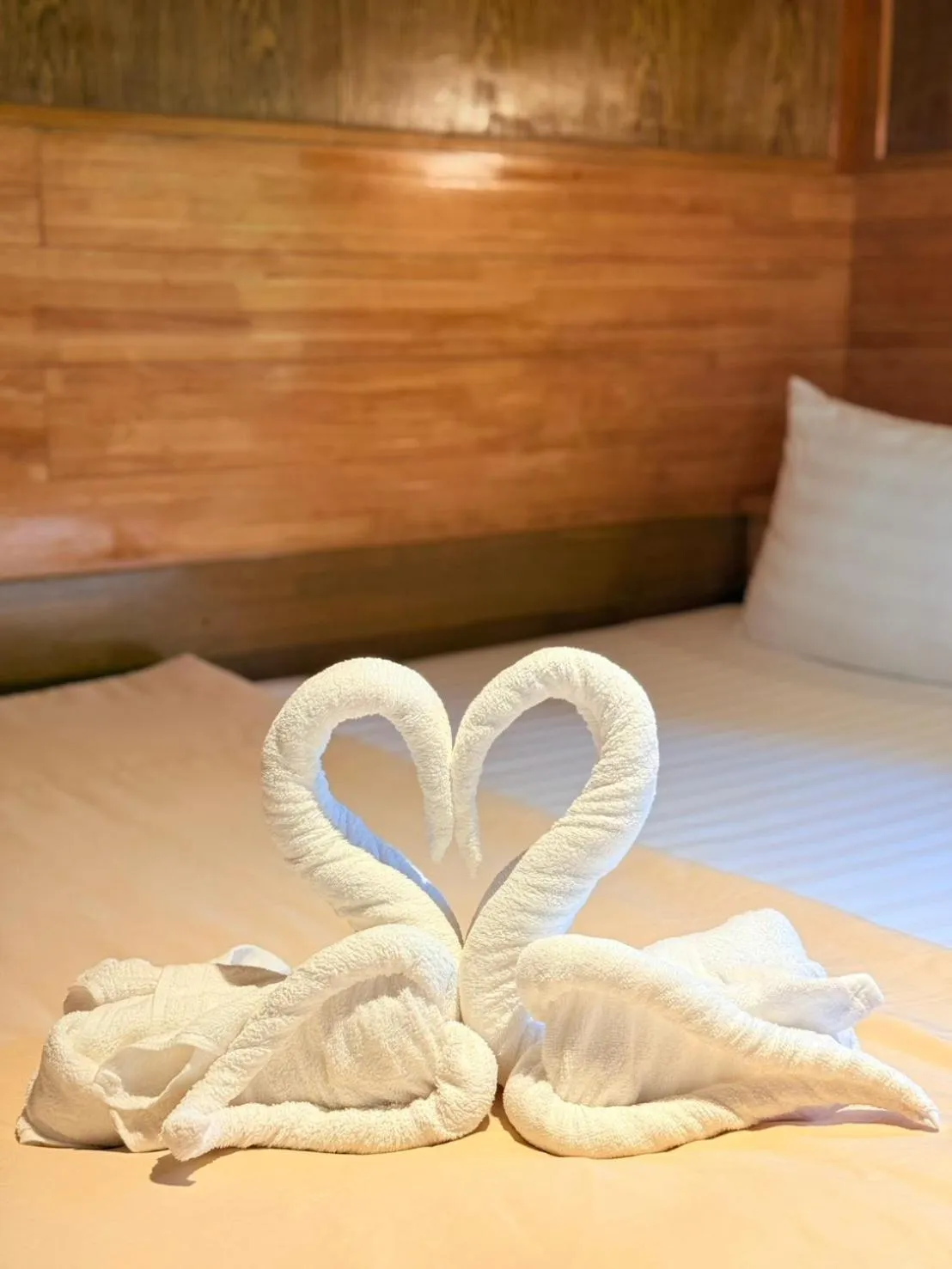 Bed in Dreamland Resort