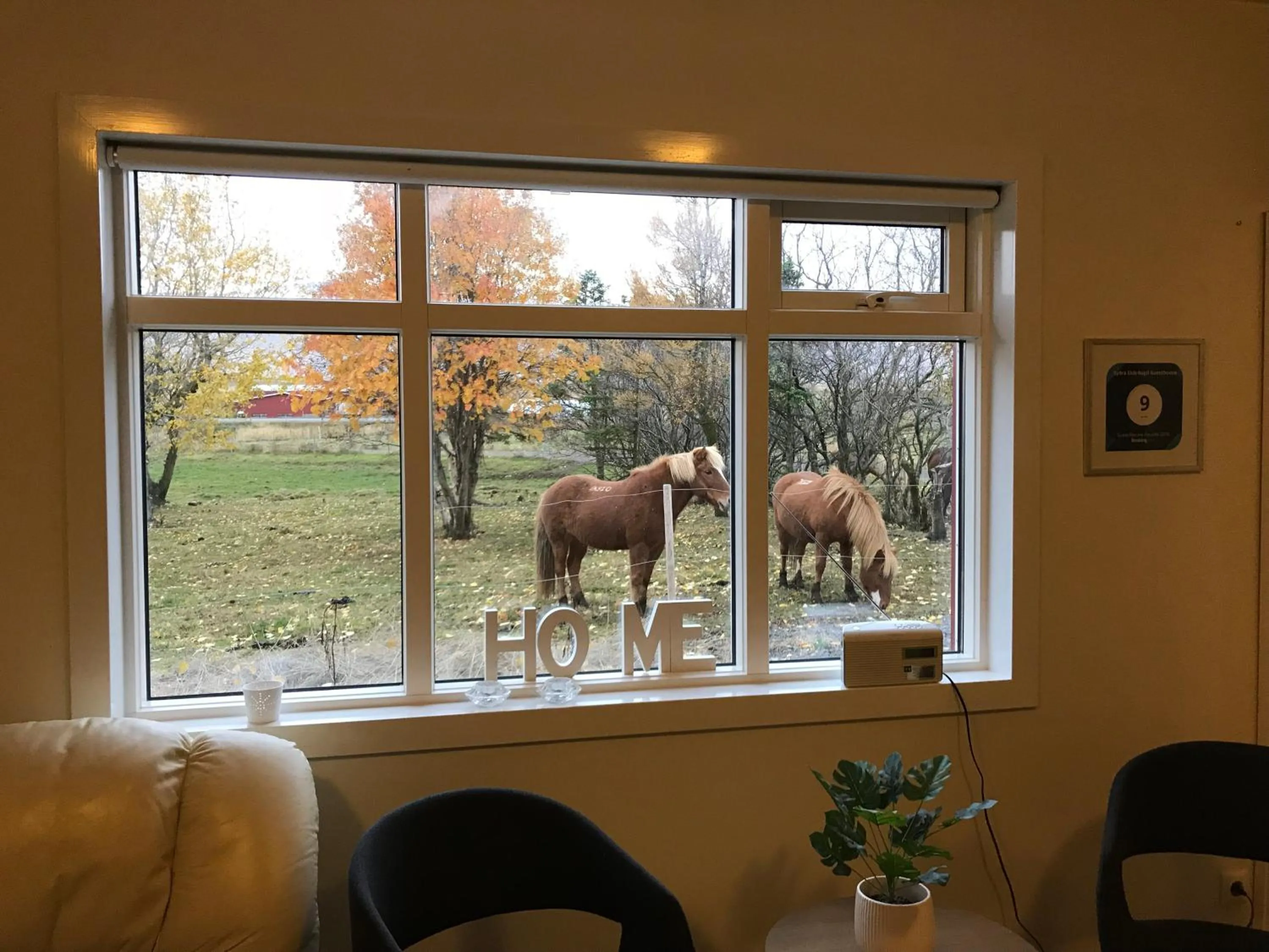 Syðra-Skörðugil Guesthouse