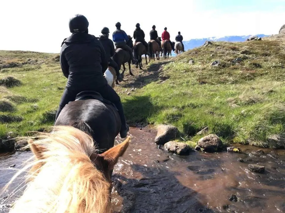 Syðra-Skörðugil Guesthouse