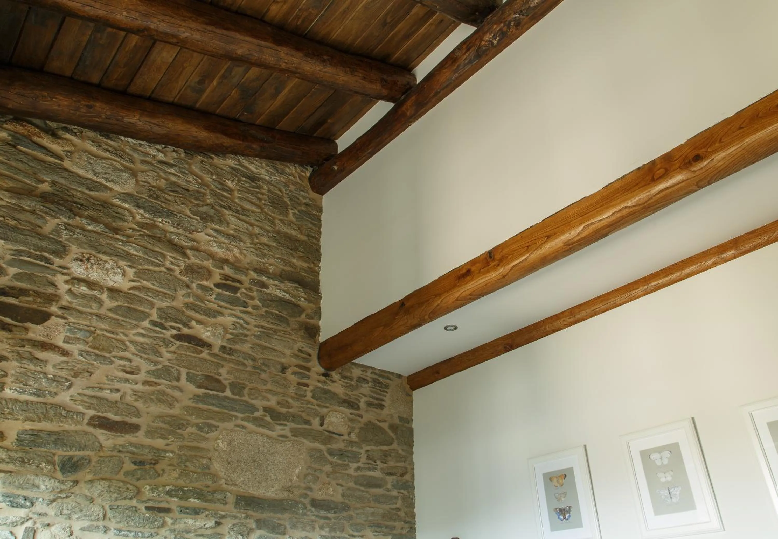 Decorative detail in Casa Baran