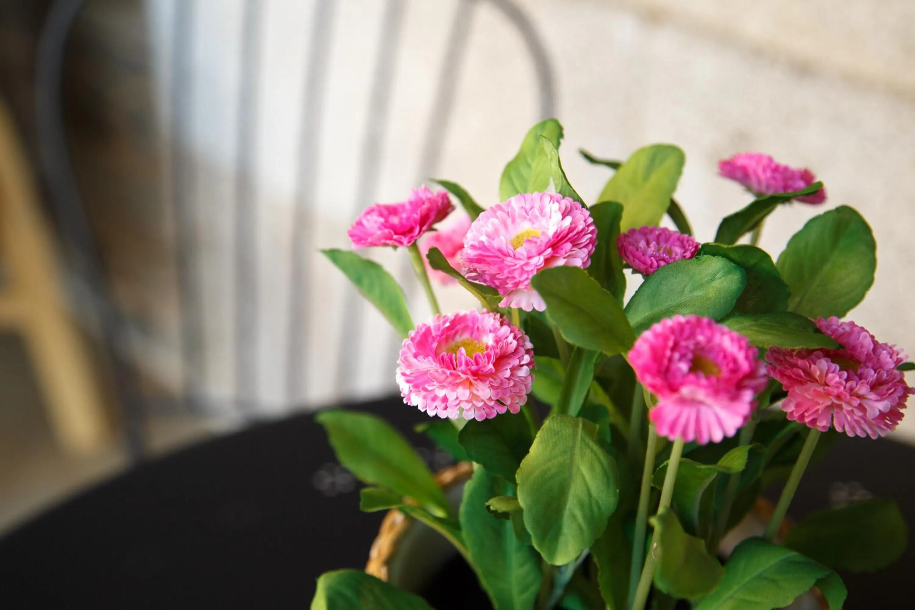 Decorative detail in Casa Baran