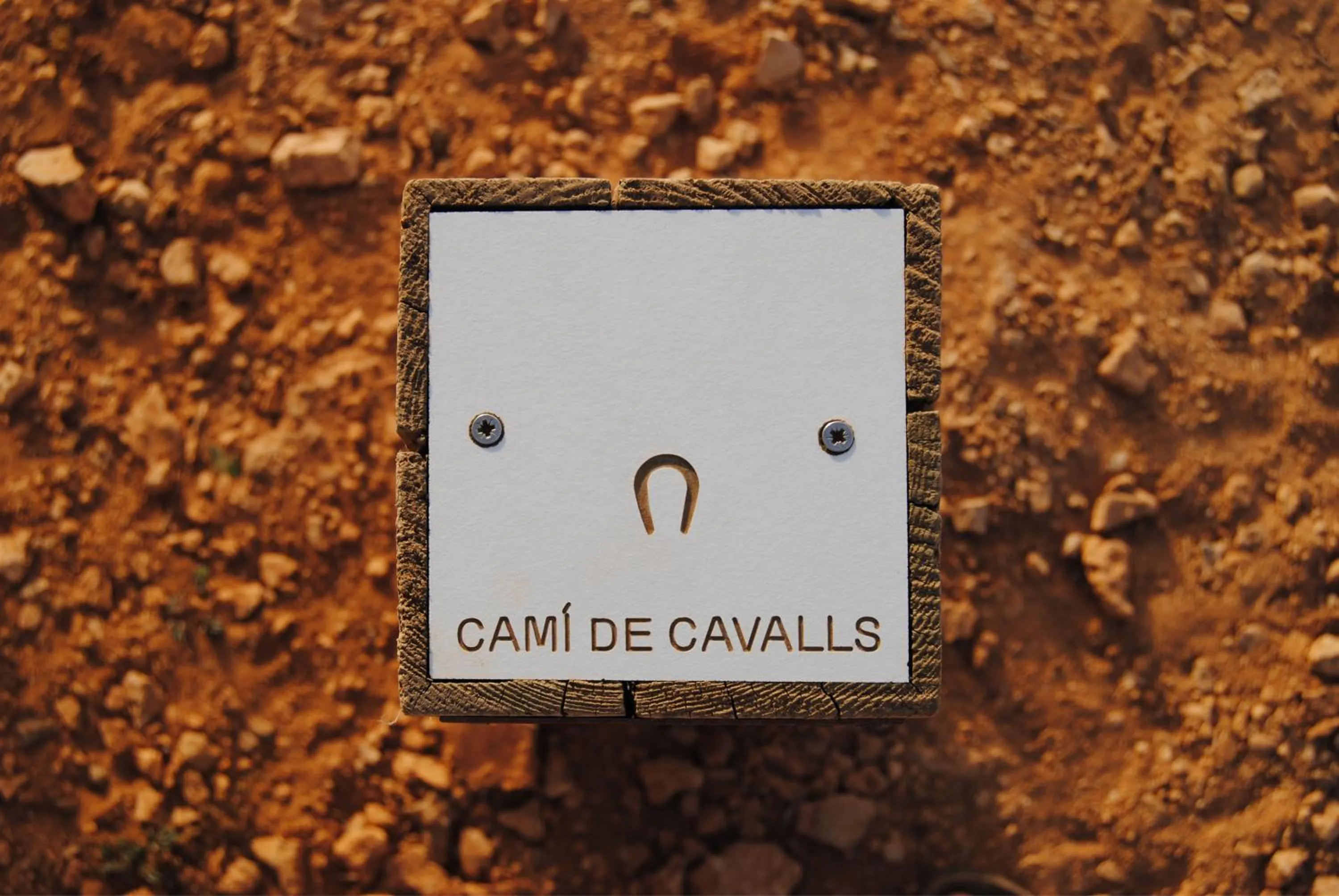 Activities in Apartamentos Posidonia