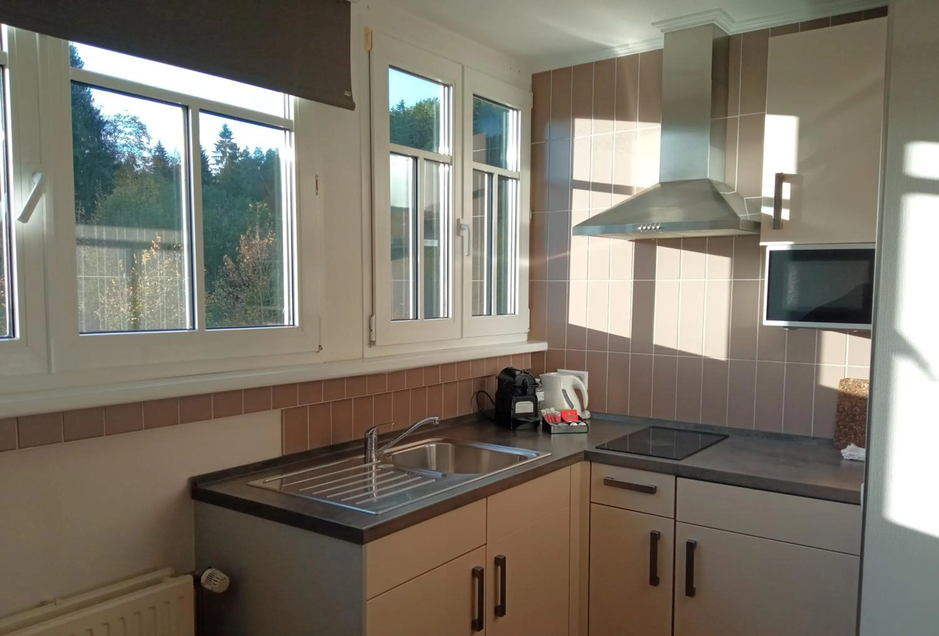 Kitchen or kitchenette in Appart-Hotel Gwendy