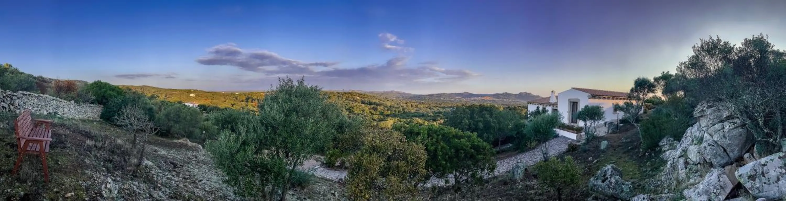 Property building in Dolce Luna