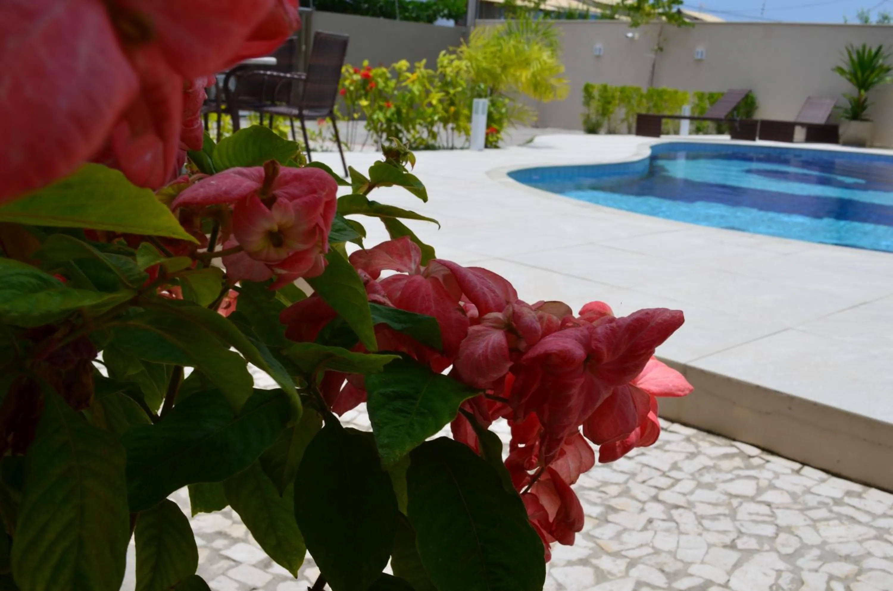 Garden in Residencial Portinari LTDA
