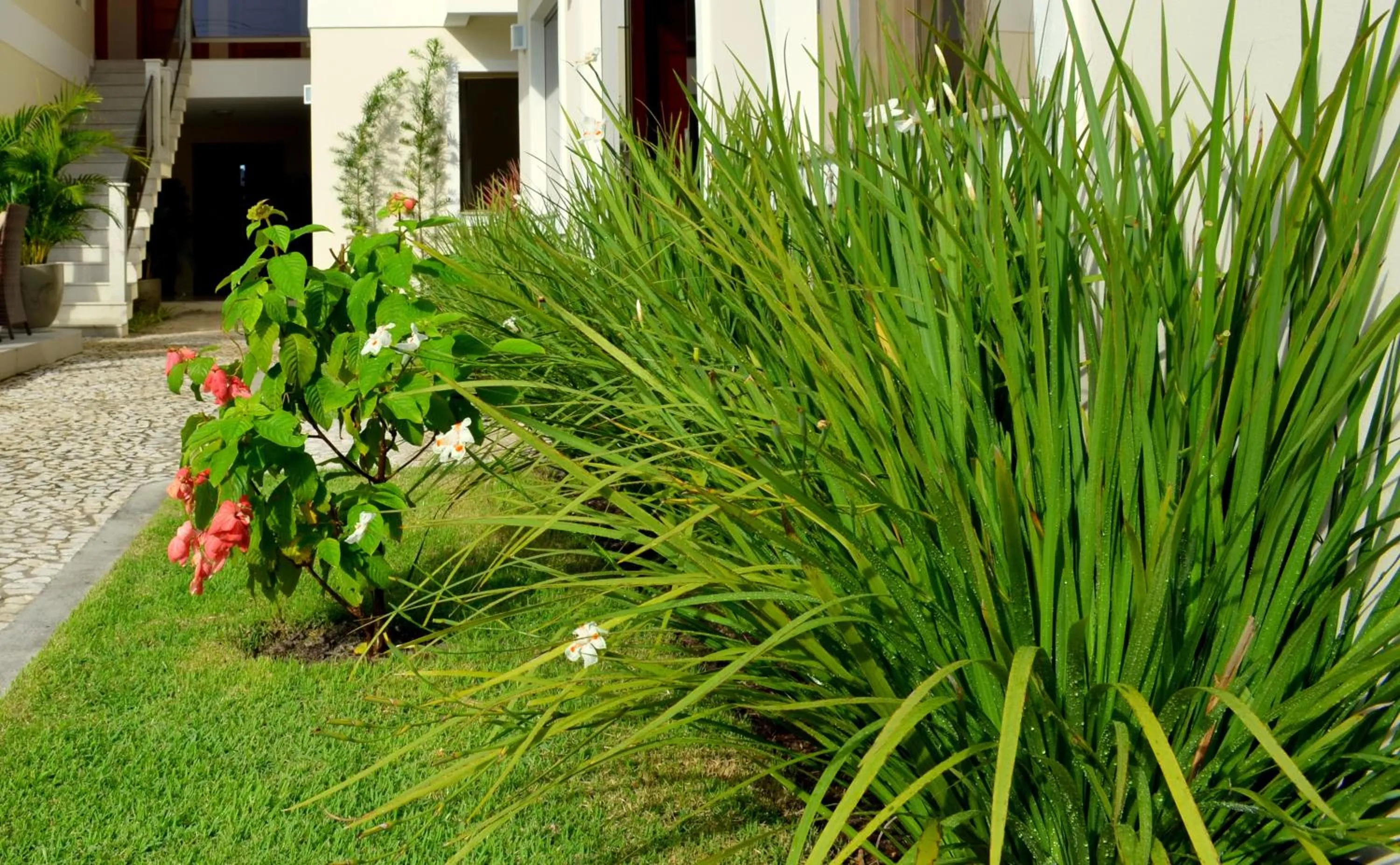 Garden in Residencial Portinari LTDA