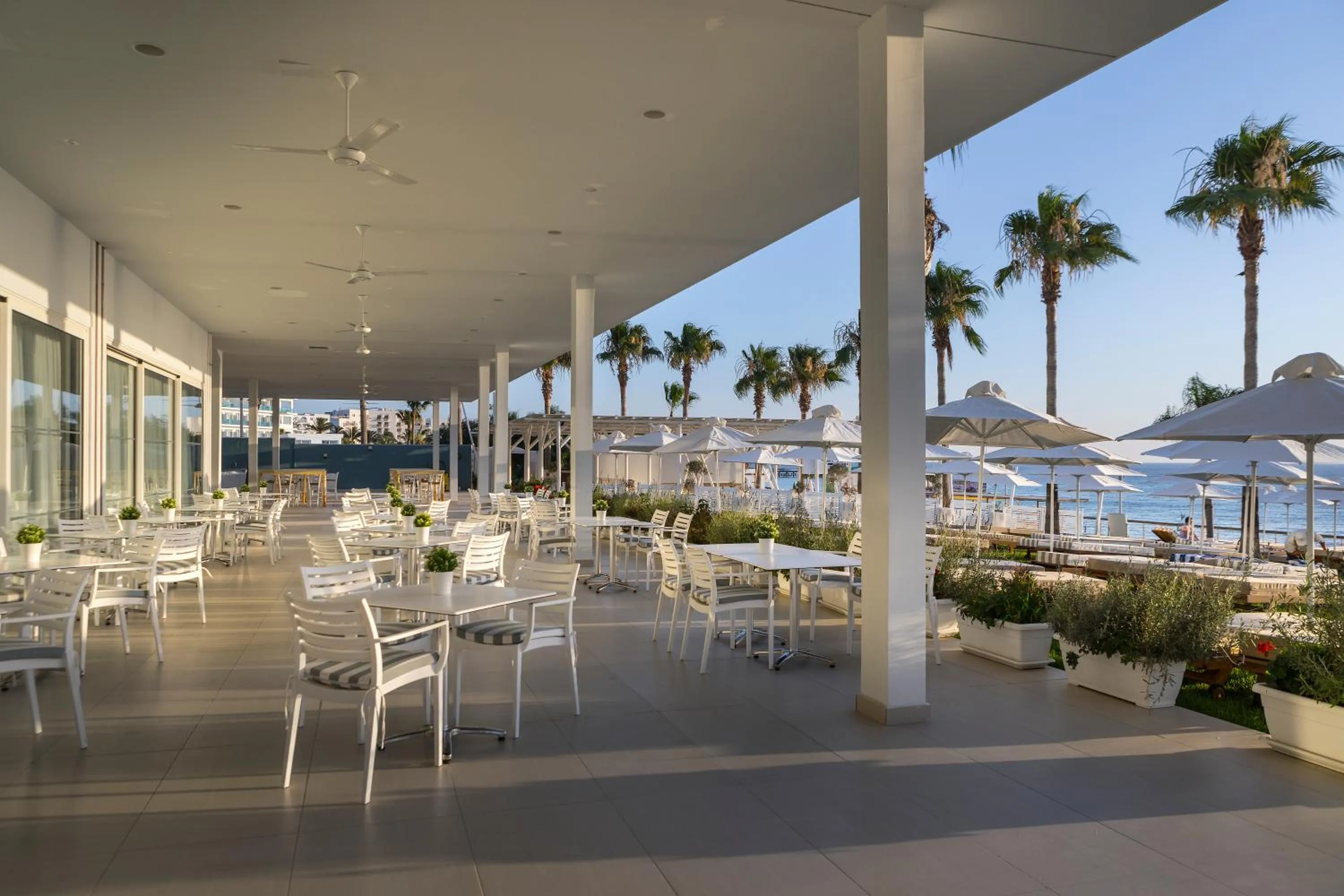 Restaurant/places to eat in Constantinos the Great Beach Hotel