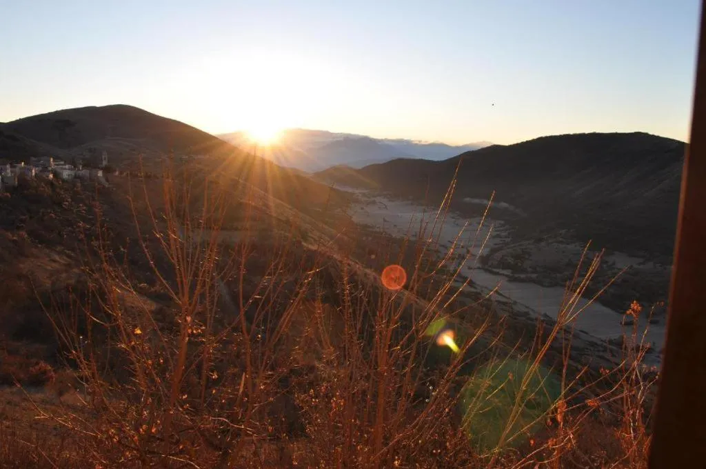 Garden in Residence Belvedere
