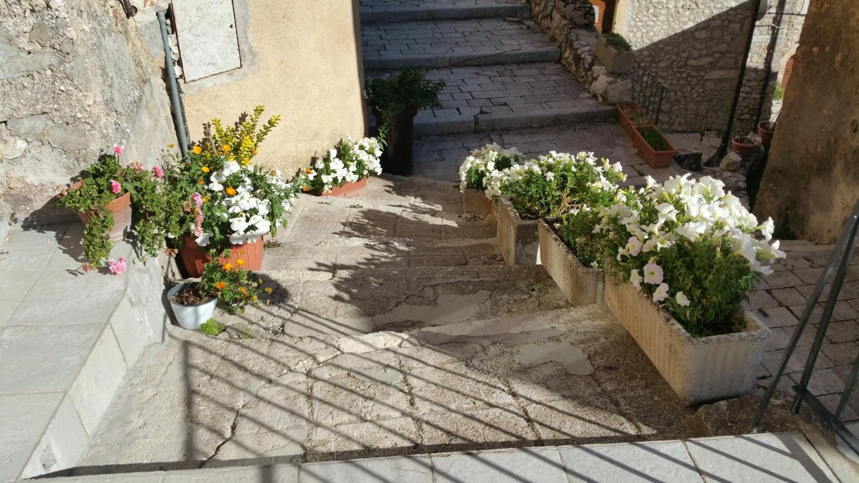 Summer in Residence Belvedere