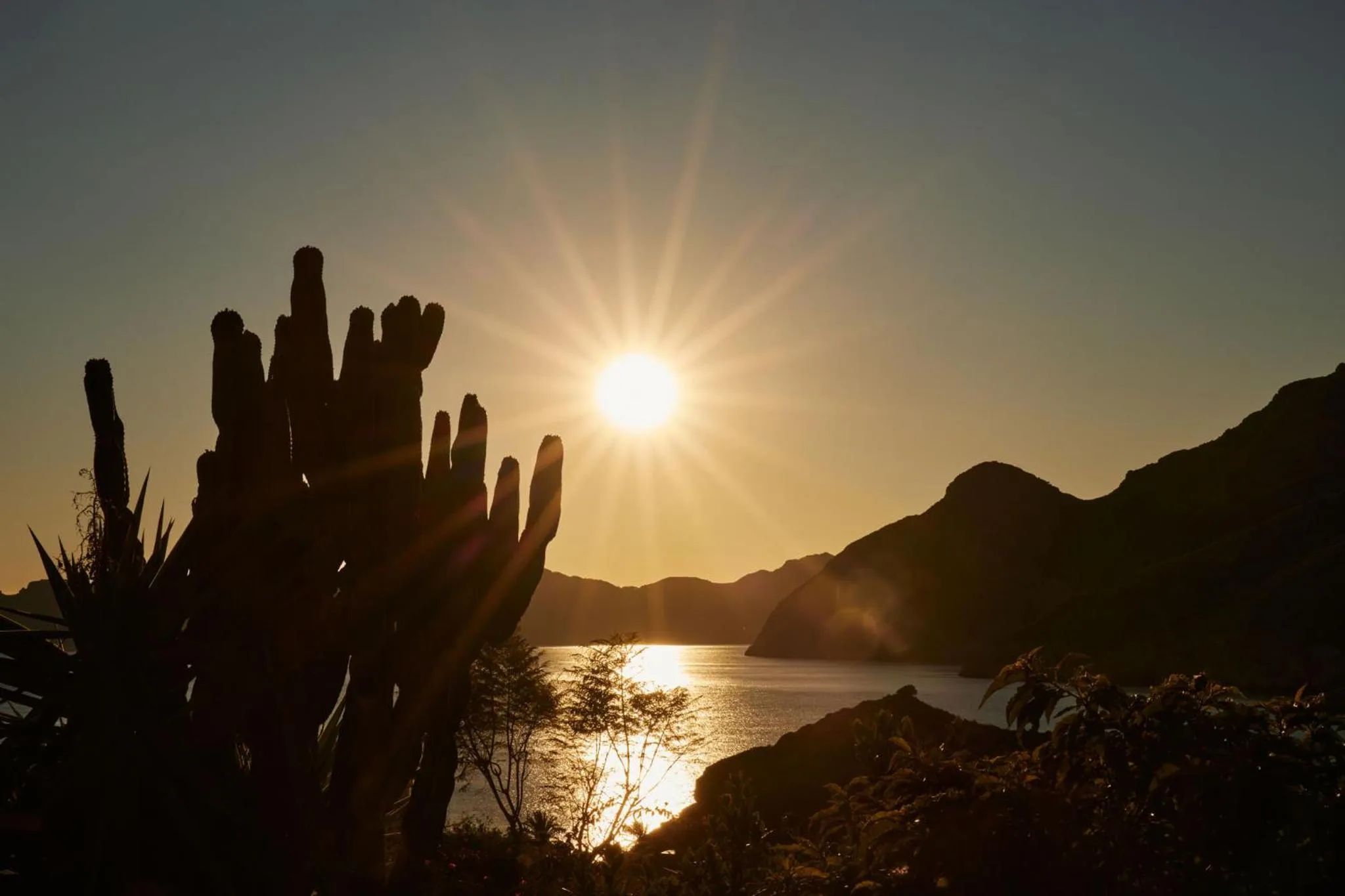 Natural landscape in Camping El Portus