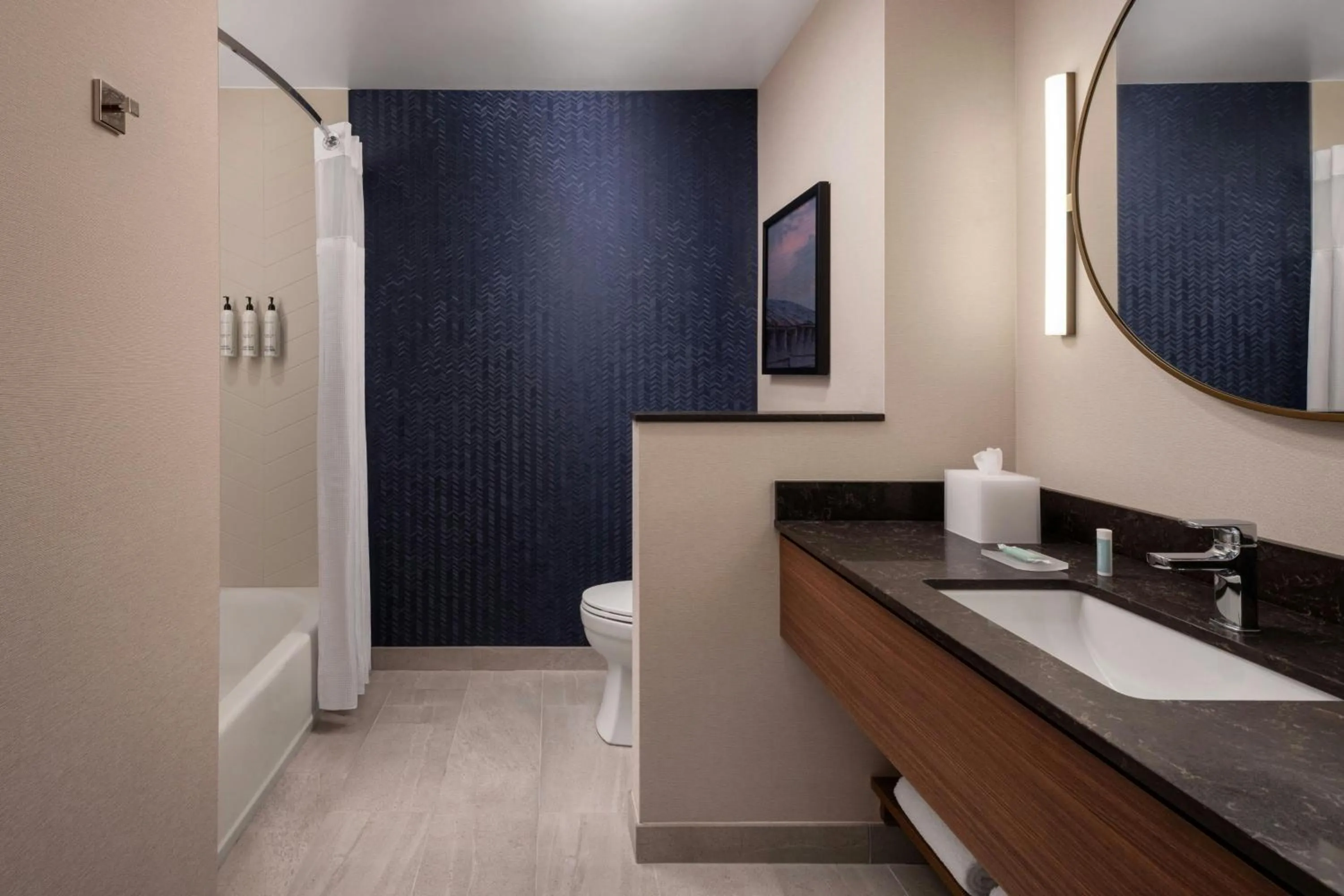 Bathroom in Fairfield Inn & Suites by Marriott Chilliwack