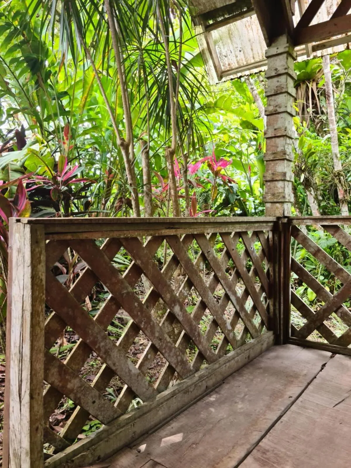 Balcony/Terrace in Santa Maria Volcano Lodge Hotel & Restaurante