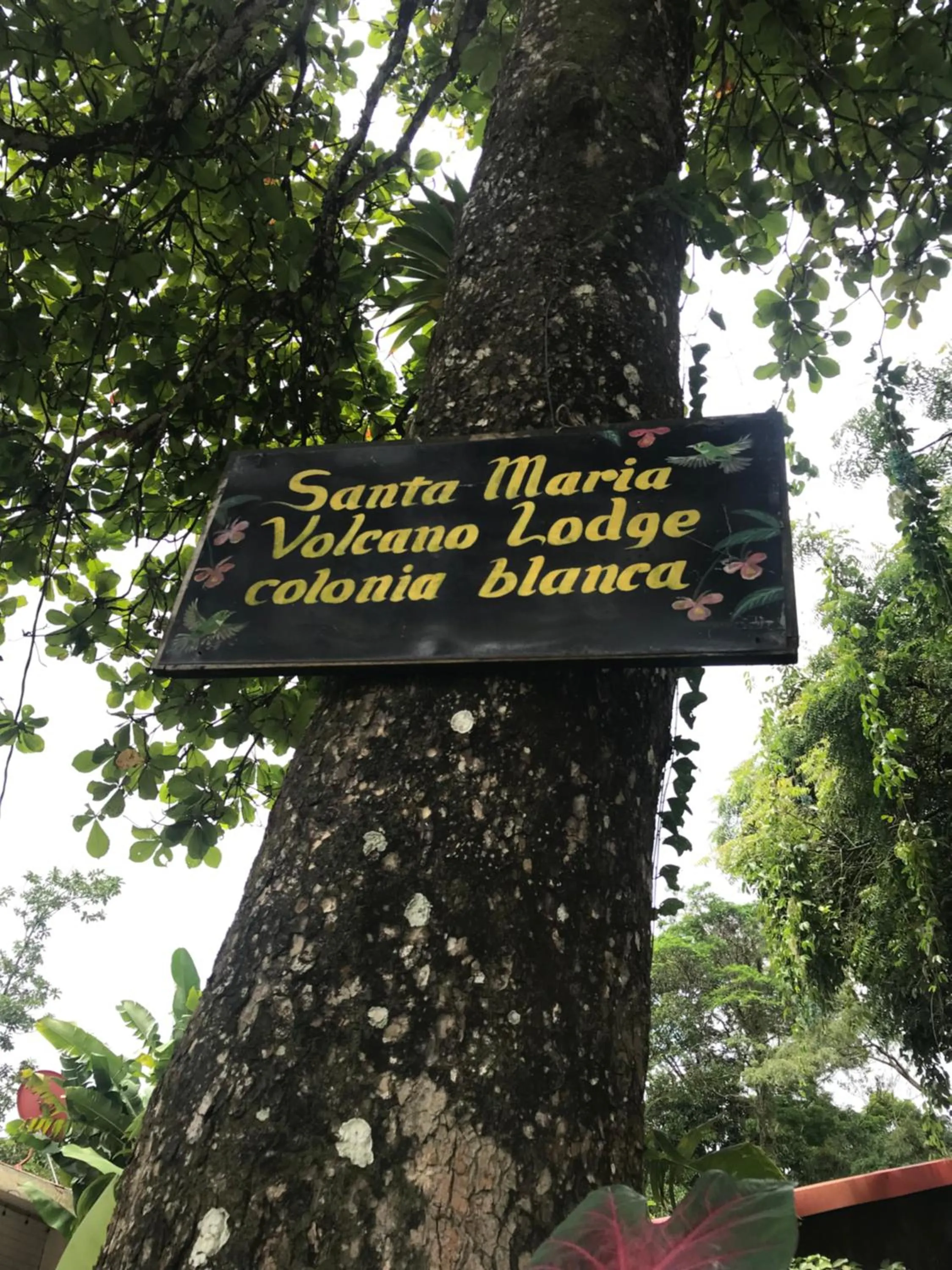 Property logo or sign in Santa Maria Volcano Lodge Hotel & Restaurante