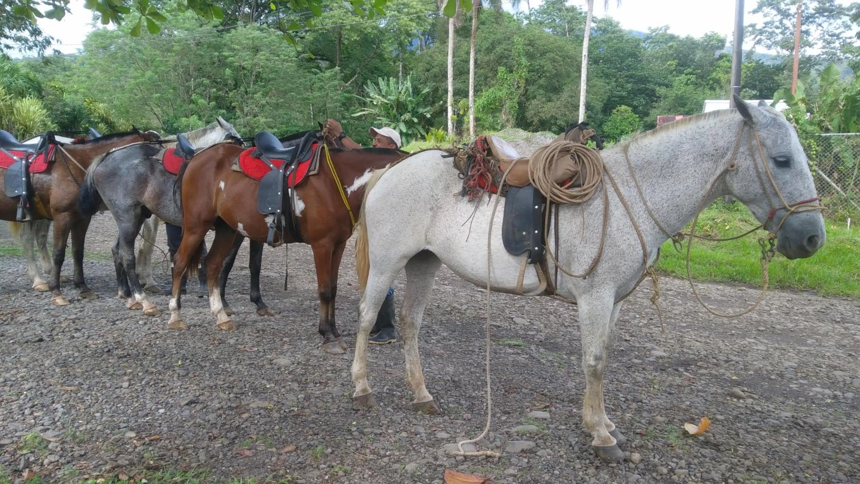 Horse-riding in Santa Maria Volcano Lodge Hotel & Restaurante