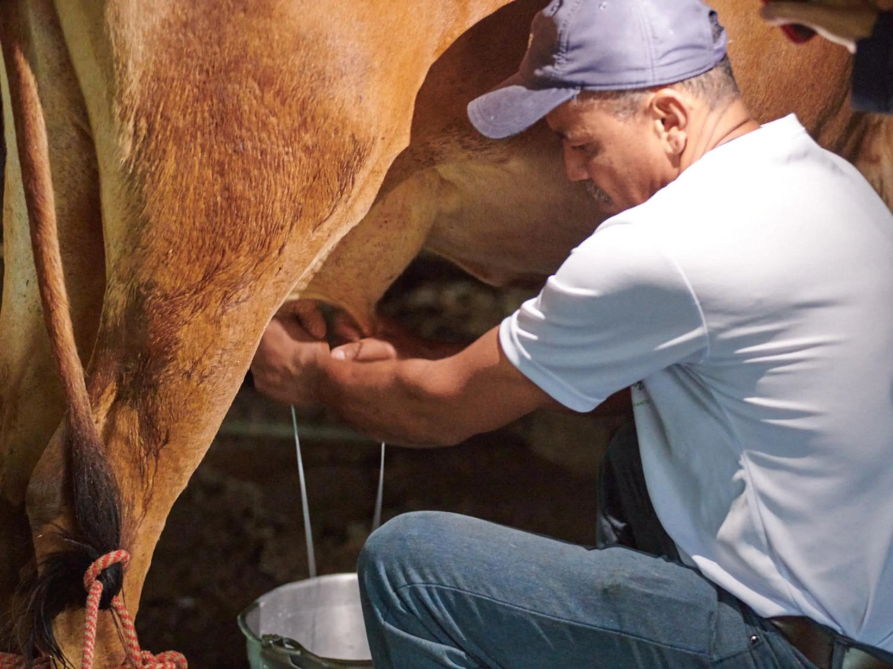 Activities in Santa Maria Volcano Lodge Hotel & Restaurante