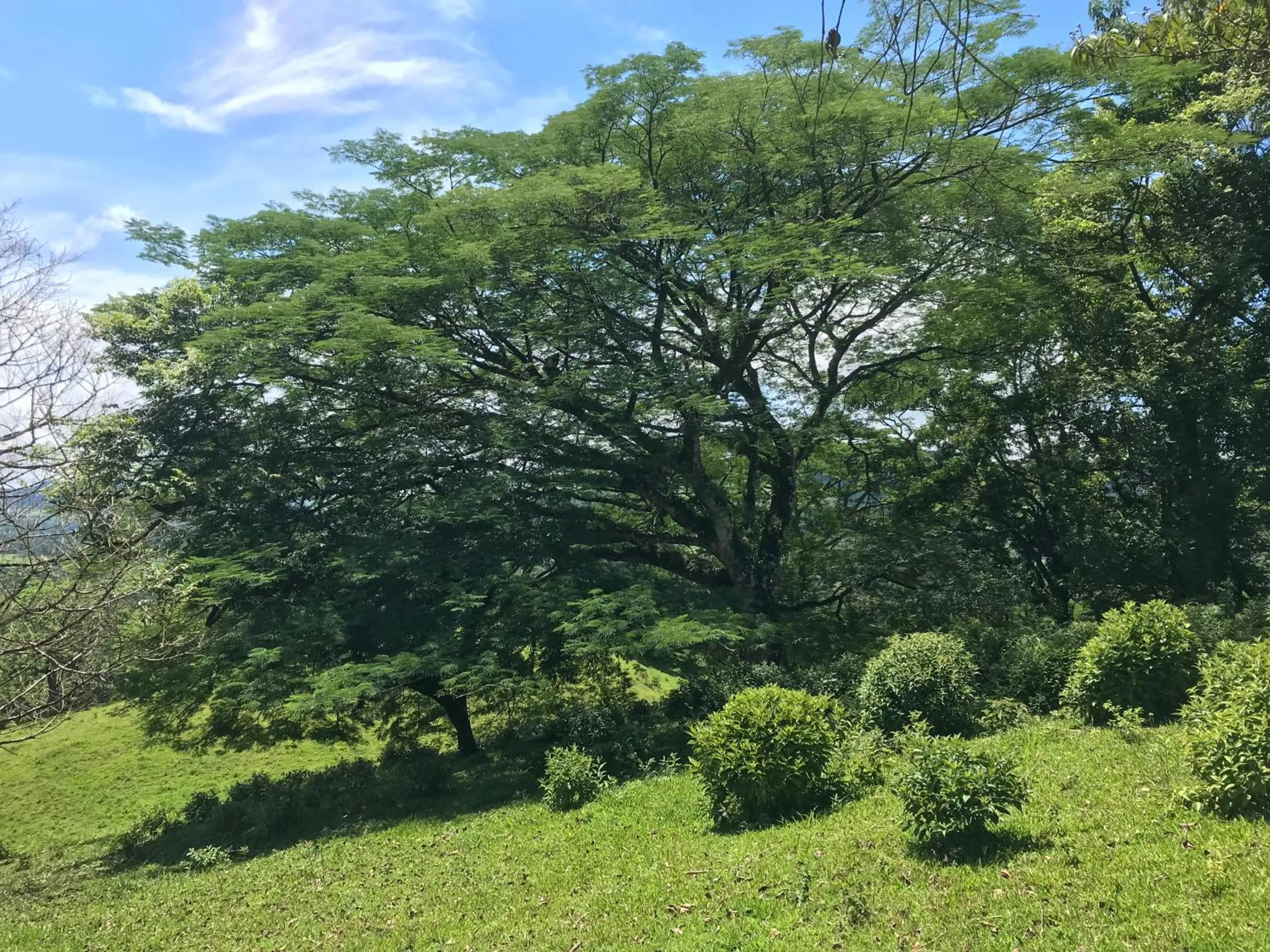 Natural landscape in Santa Maria Volcano Lodge Hotel & Restaurante