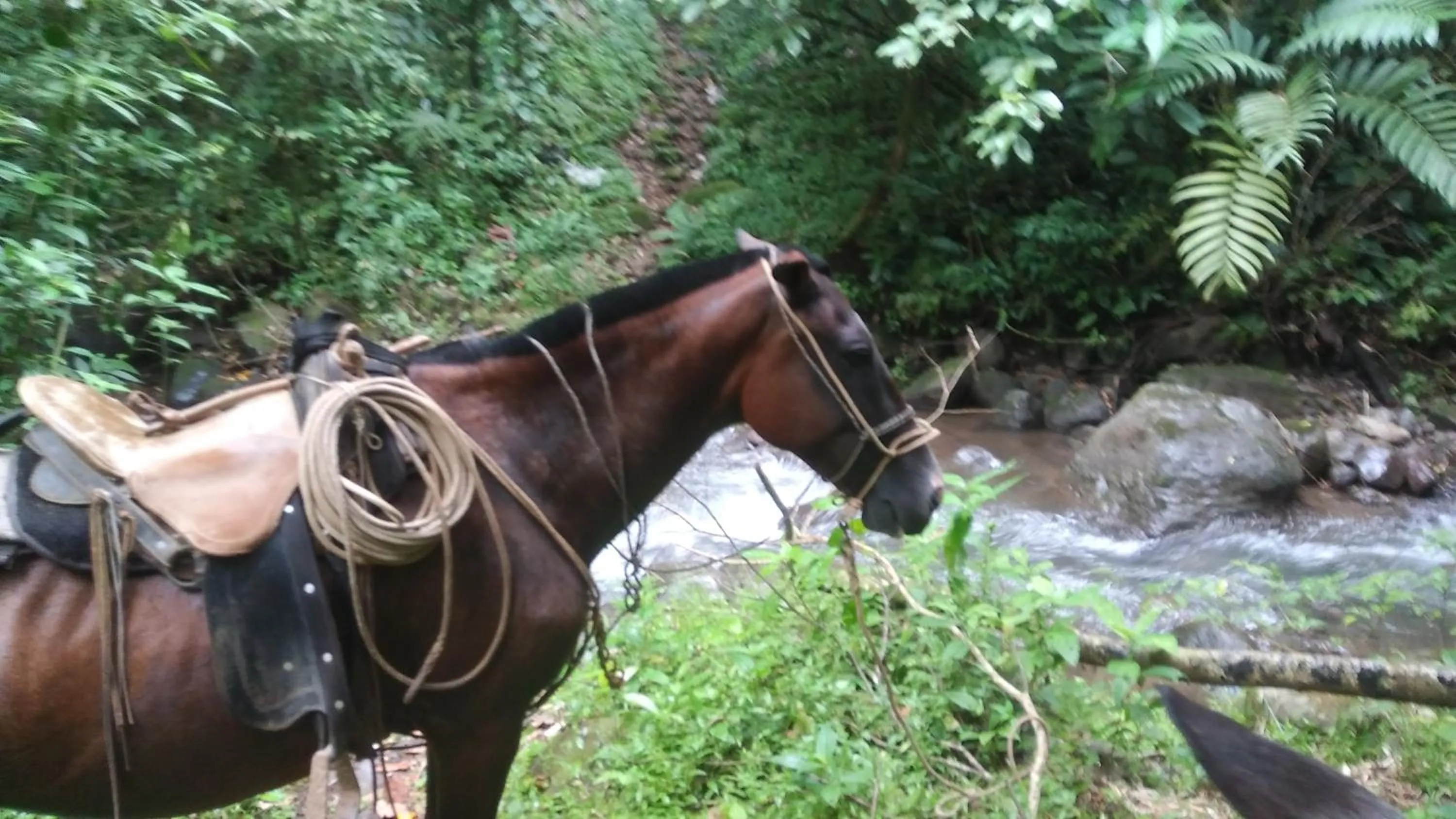 Horse-riding in Santa Maria Volcano Lodge Hotel & Restaurante