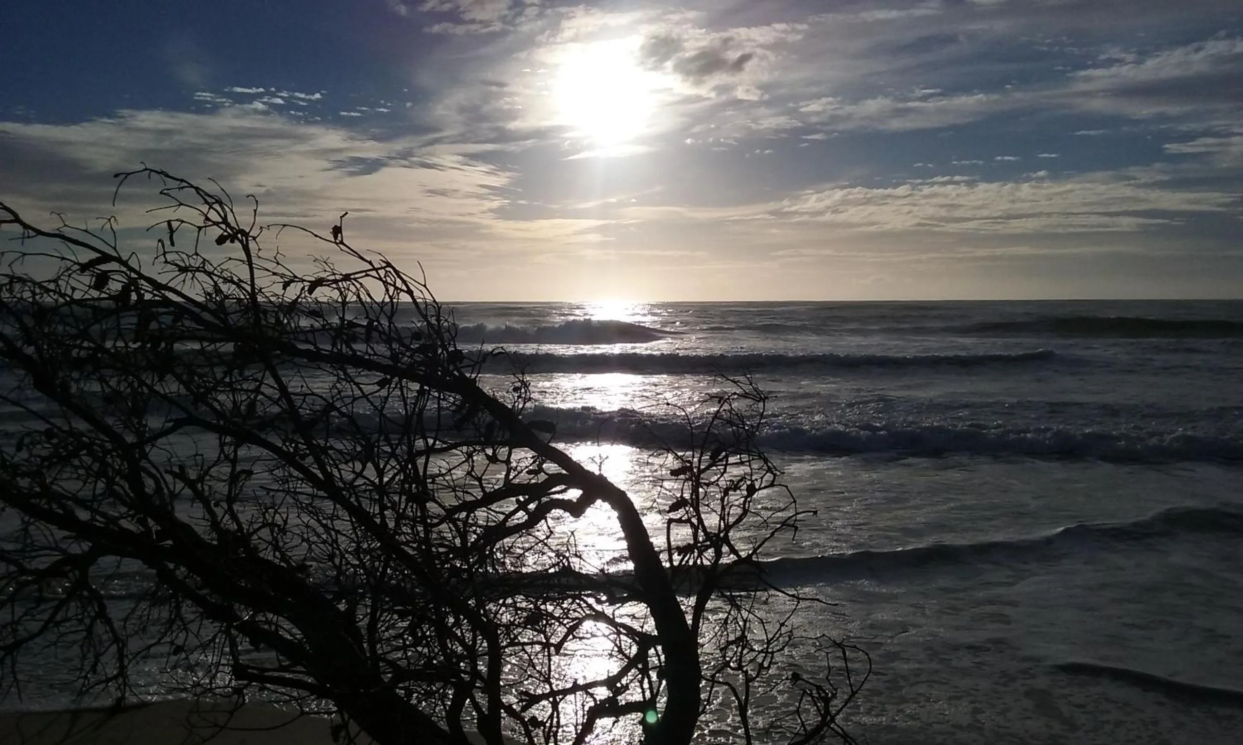 Beach in BIG4 Tasman Holiday Parks - Nambucca Heads