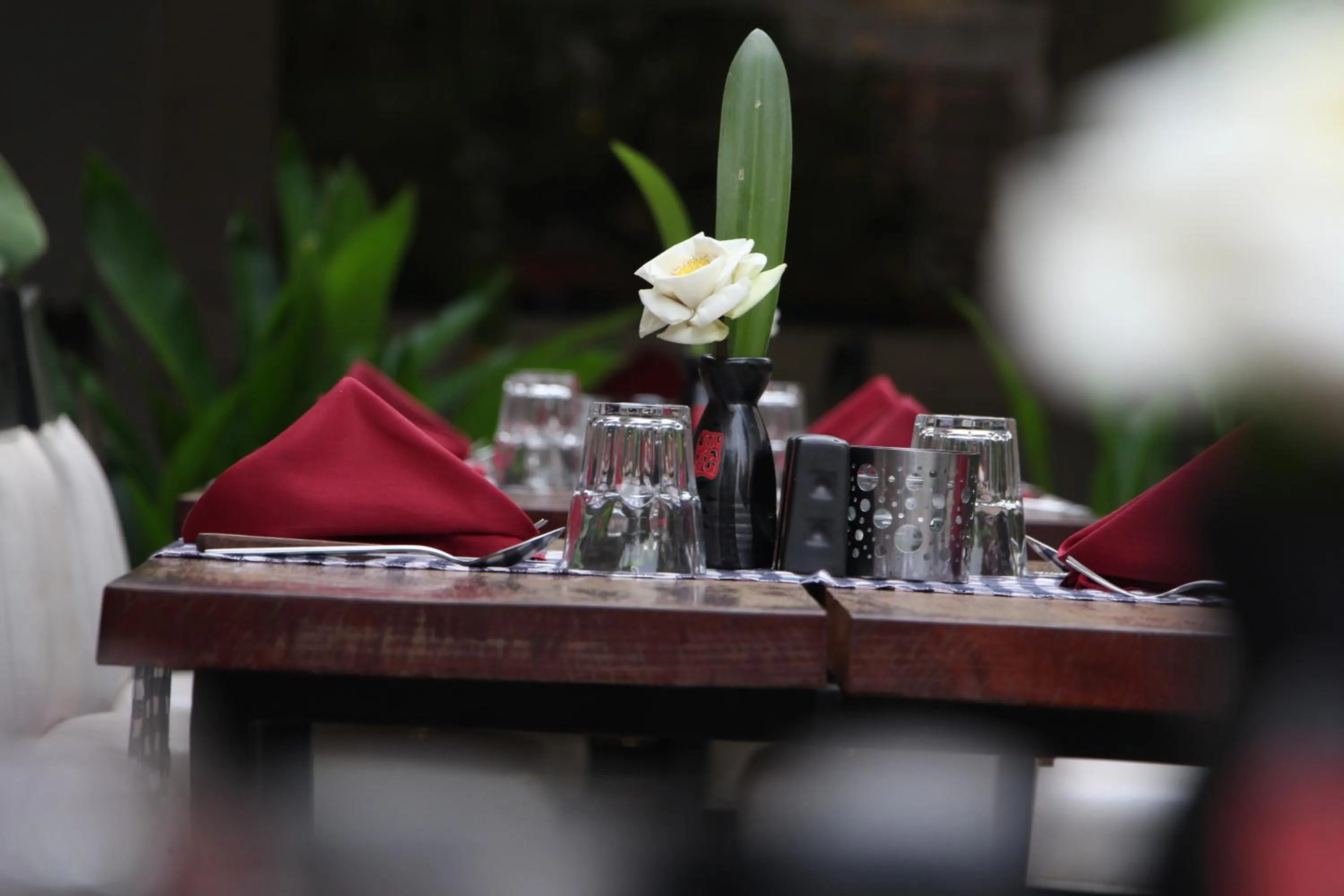 Dining area in Isann Lodge