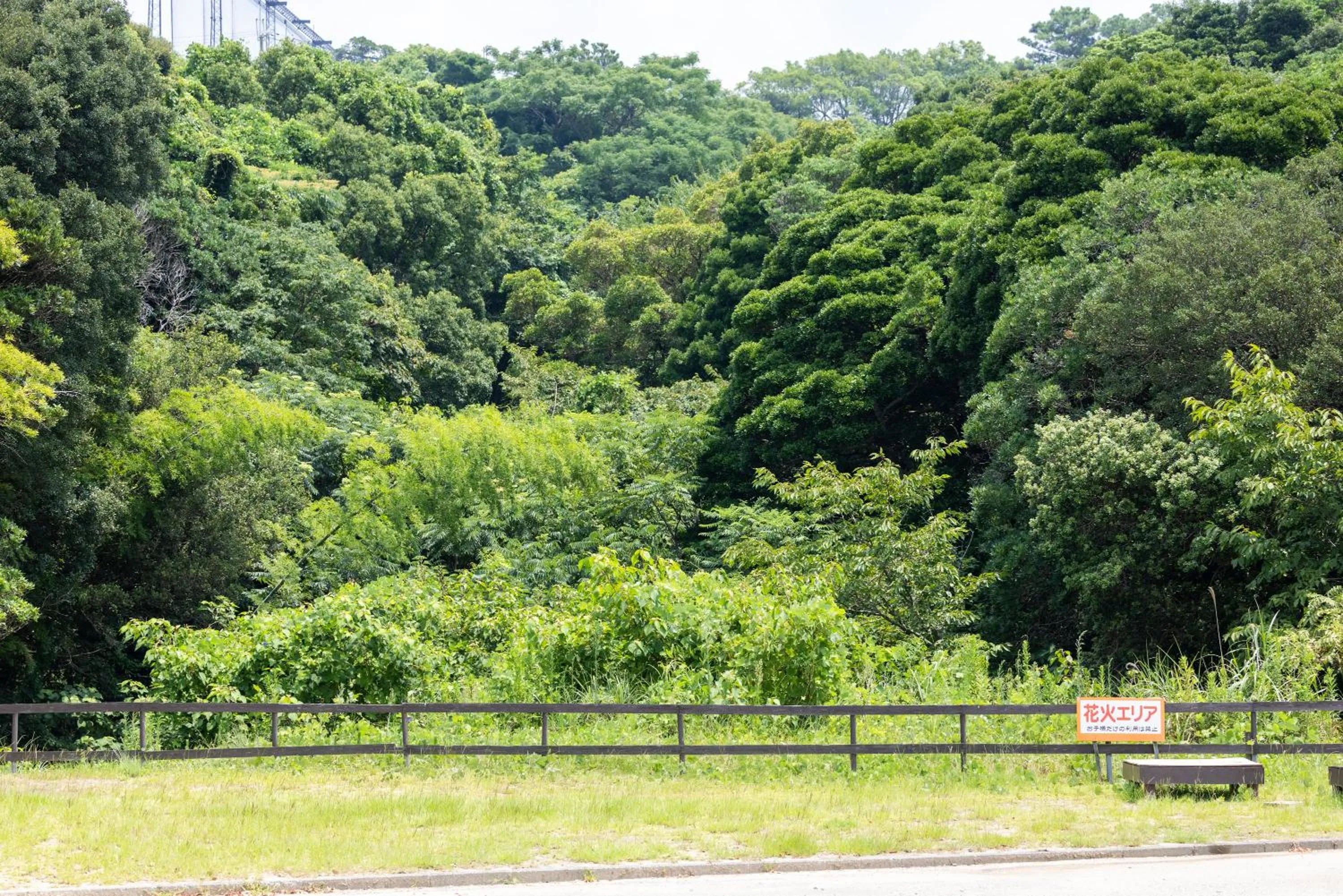 Grampus Inn Shirahama