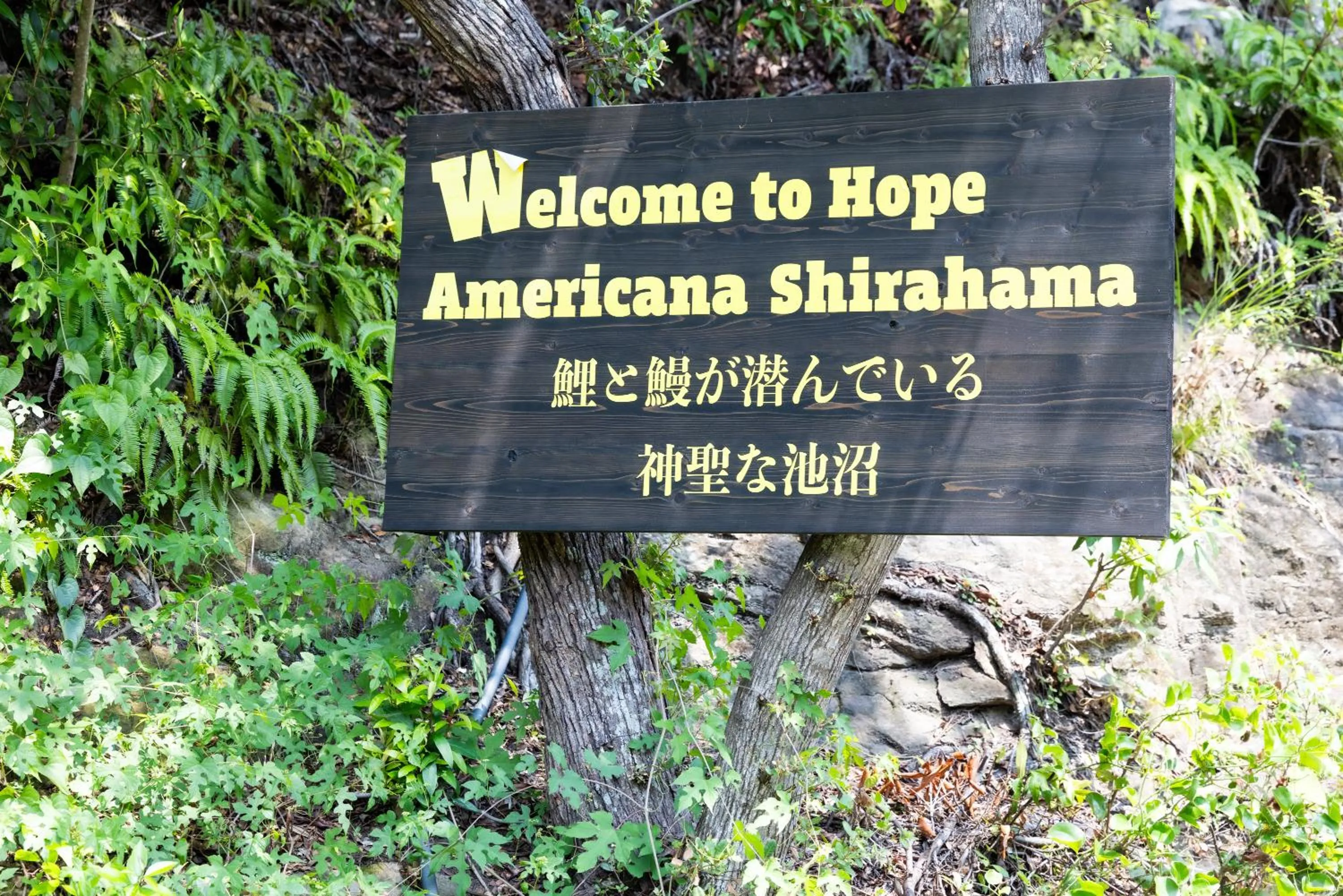 Grampus Inn Shirahama