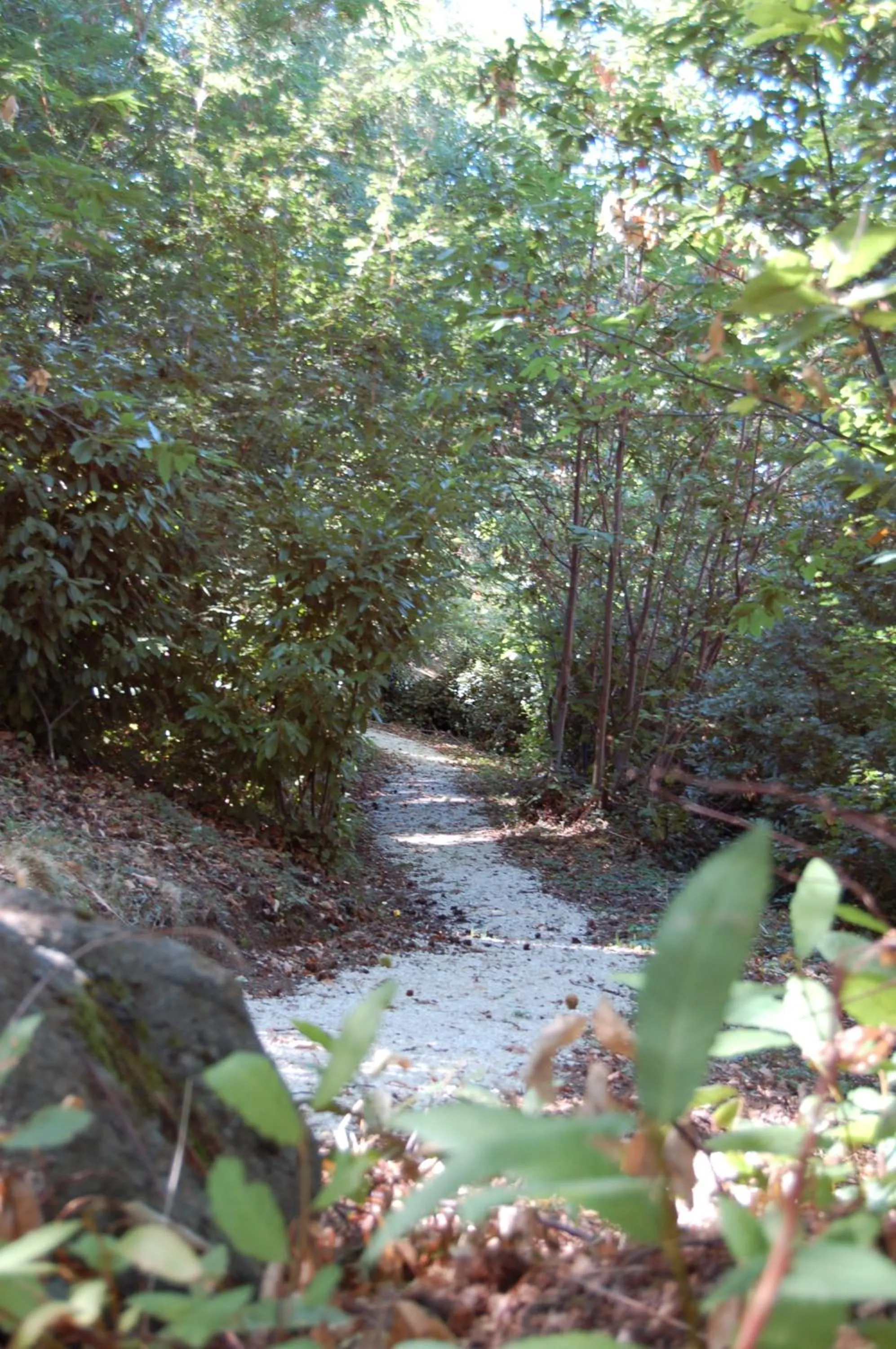 Garden in Balletti Park Hotel