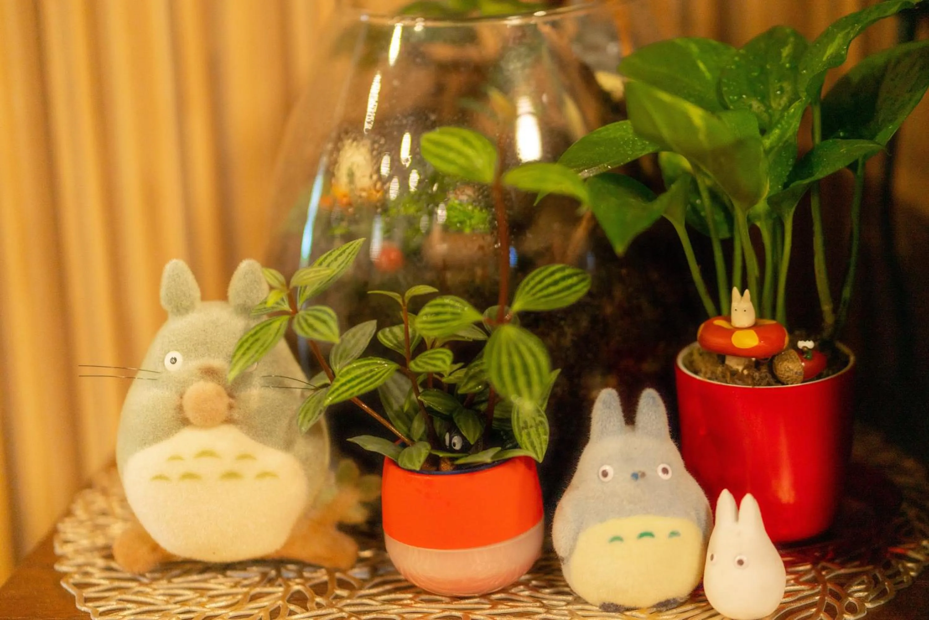 Area and facilities in Guest House Ouka