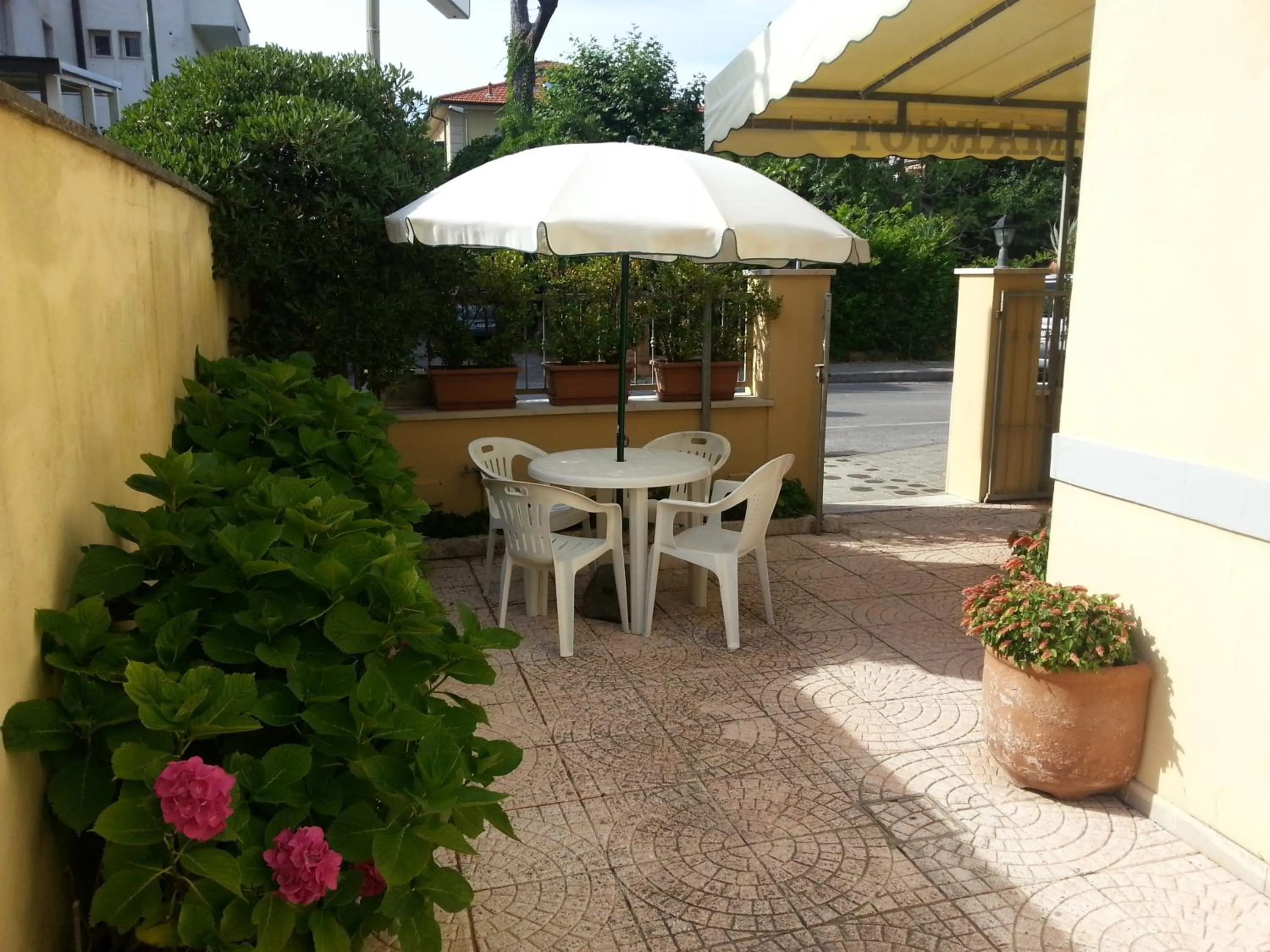 Area and facilities in Hotel Margot