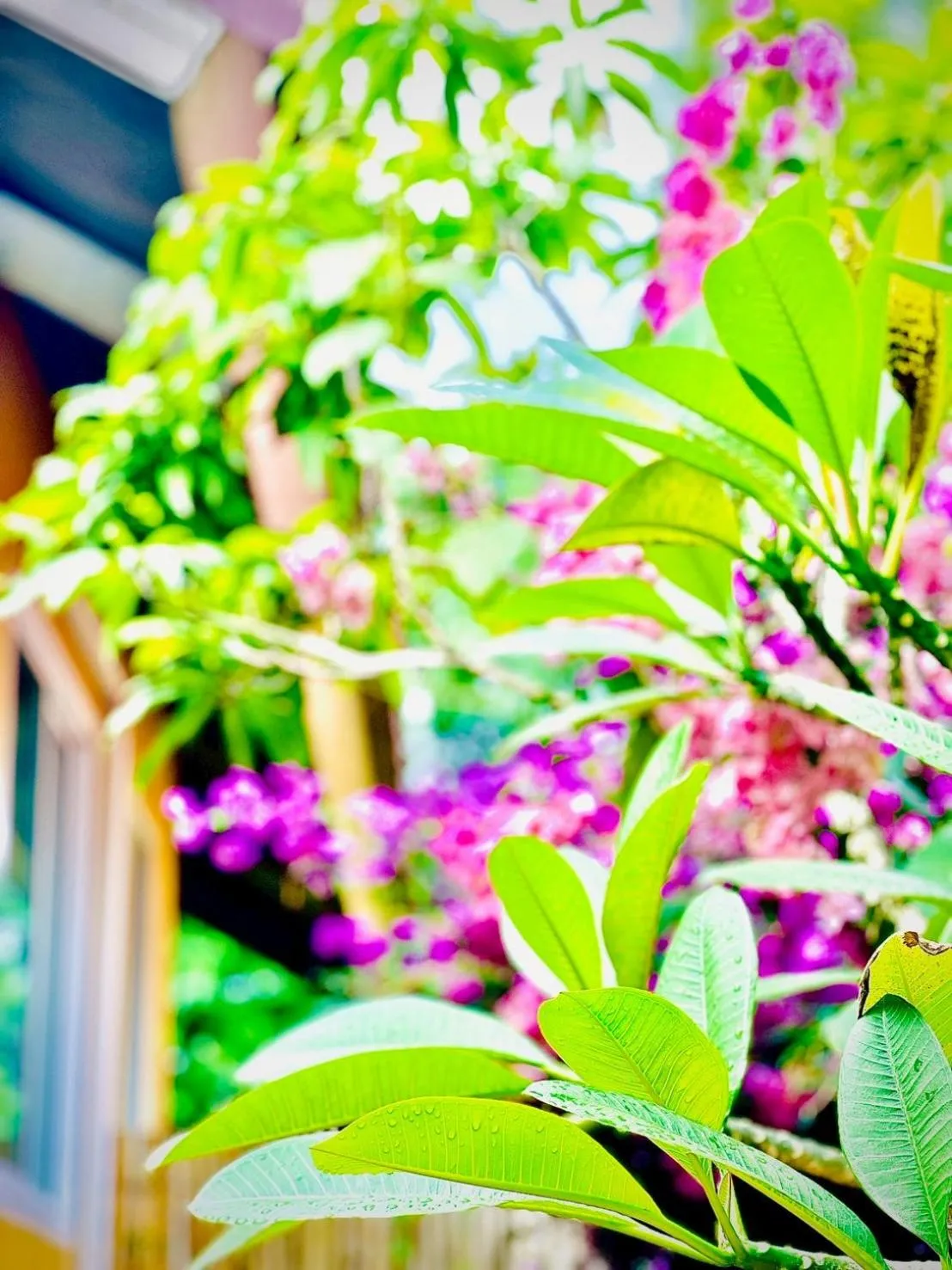 Lanta For Rest Boutique