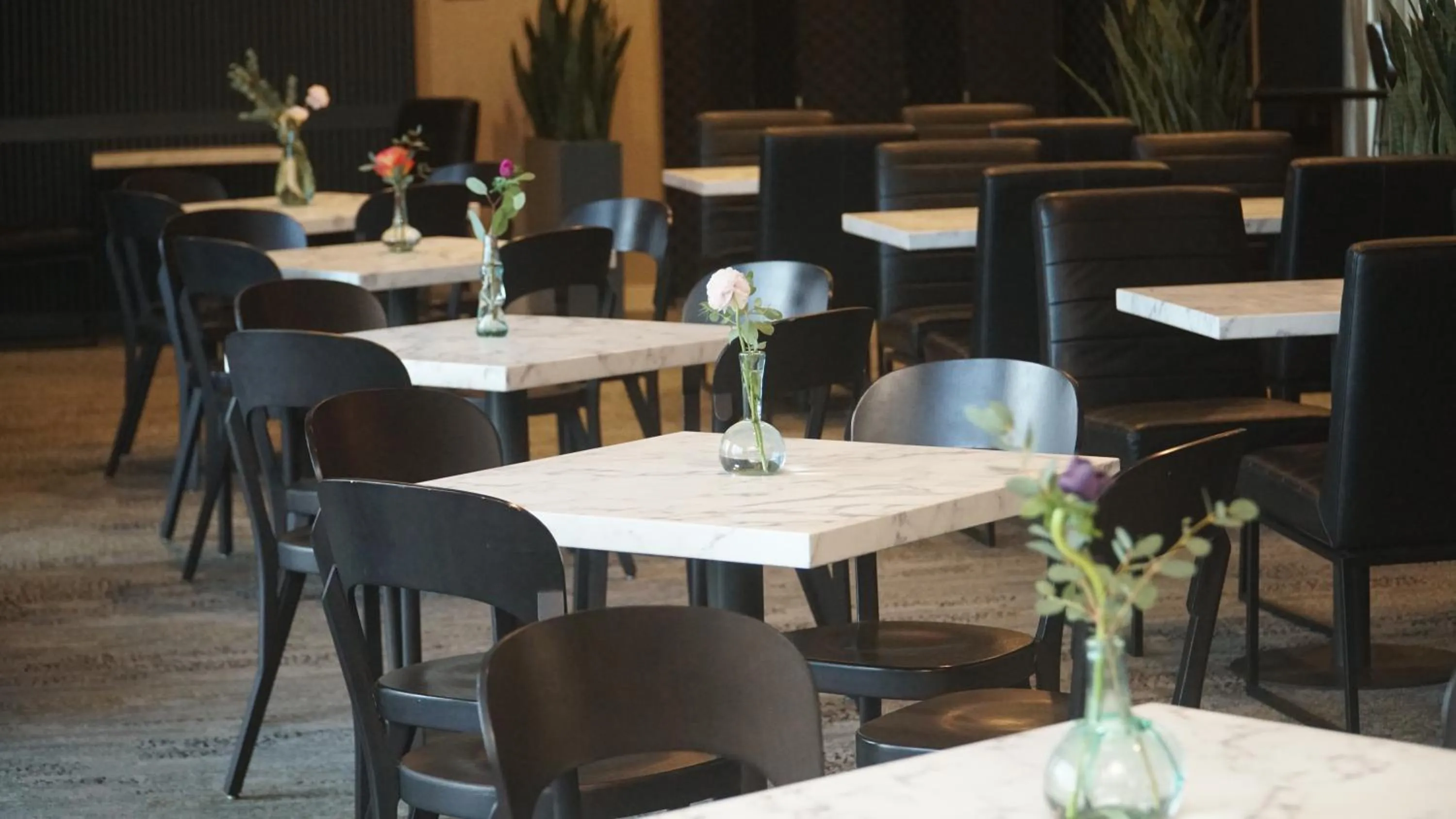 Restaurant/places to eat in Sundrift Inn