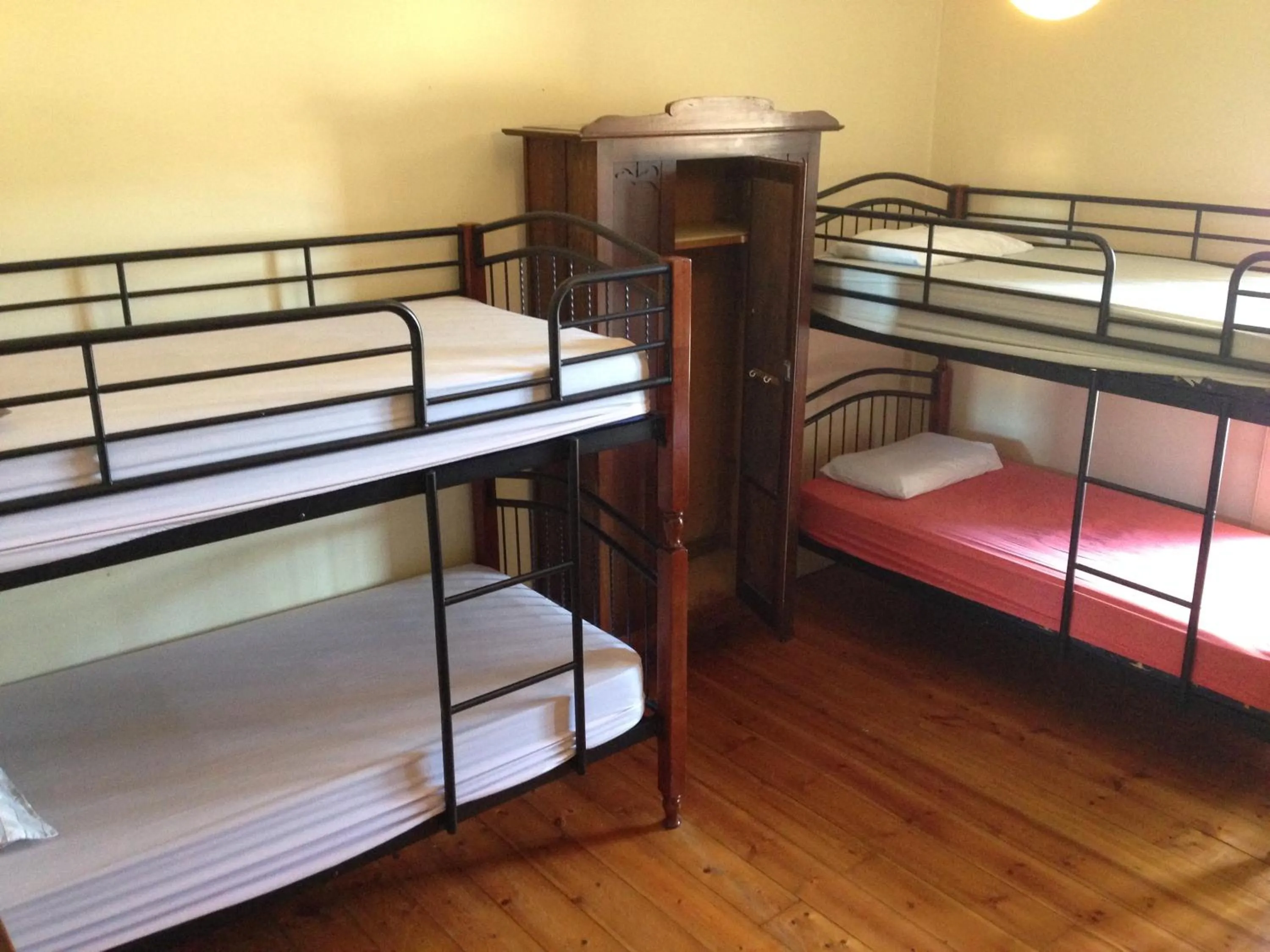 bunk bed in Arthouse Hostel