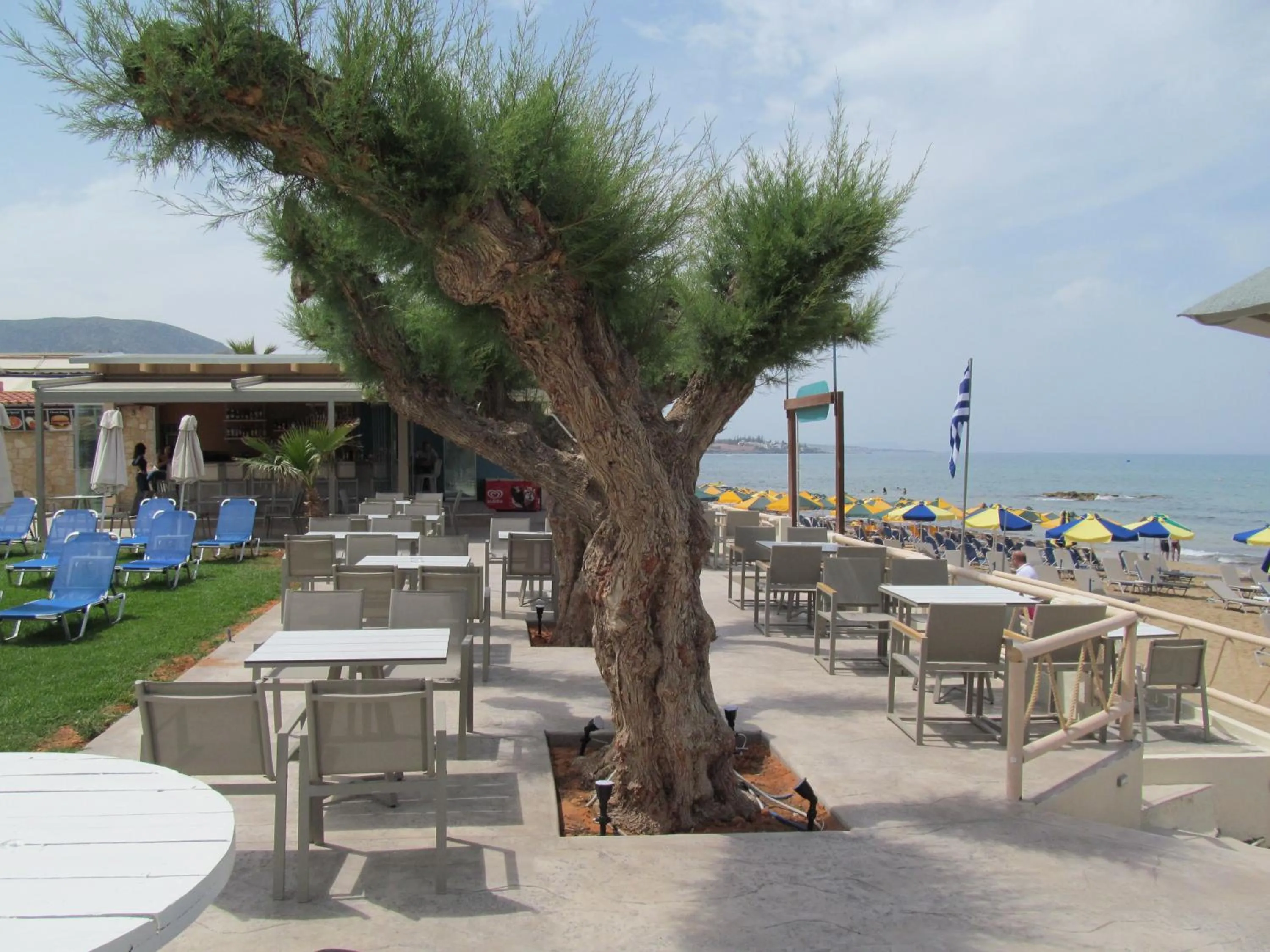 Restaurant/places to eat in Malliotakis Beach Hotel "by Checkin"