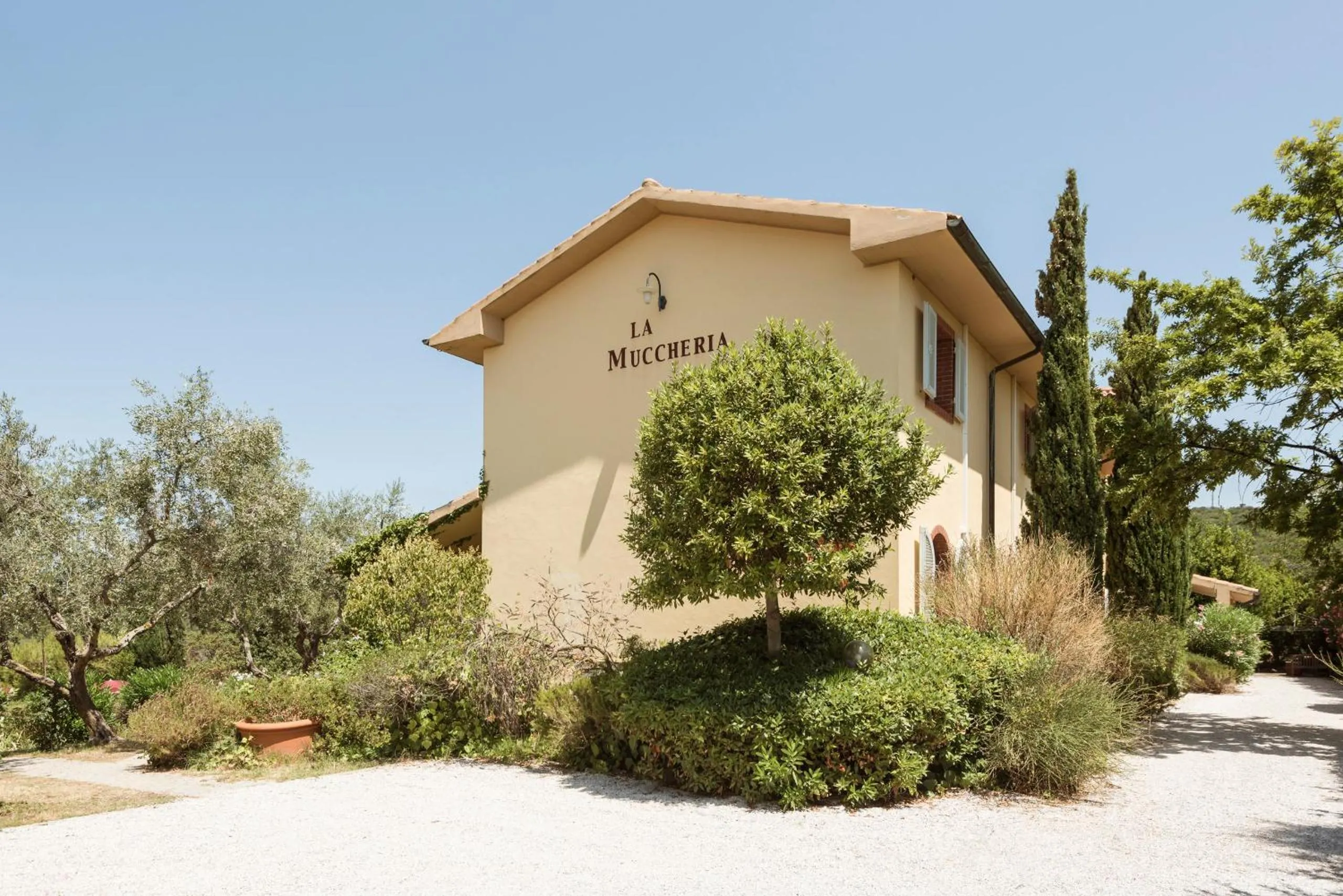 Property building in La Muccheria