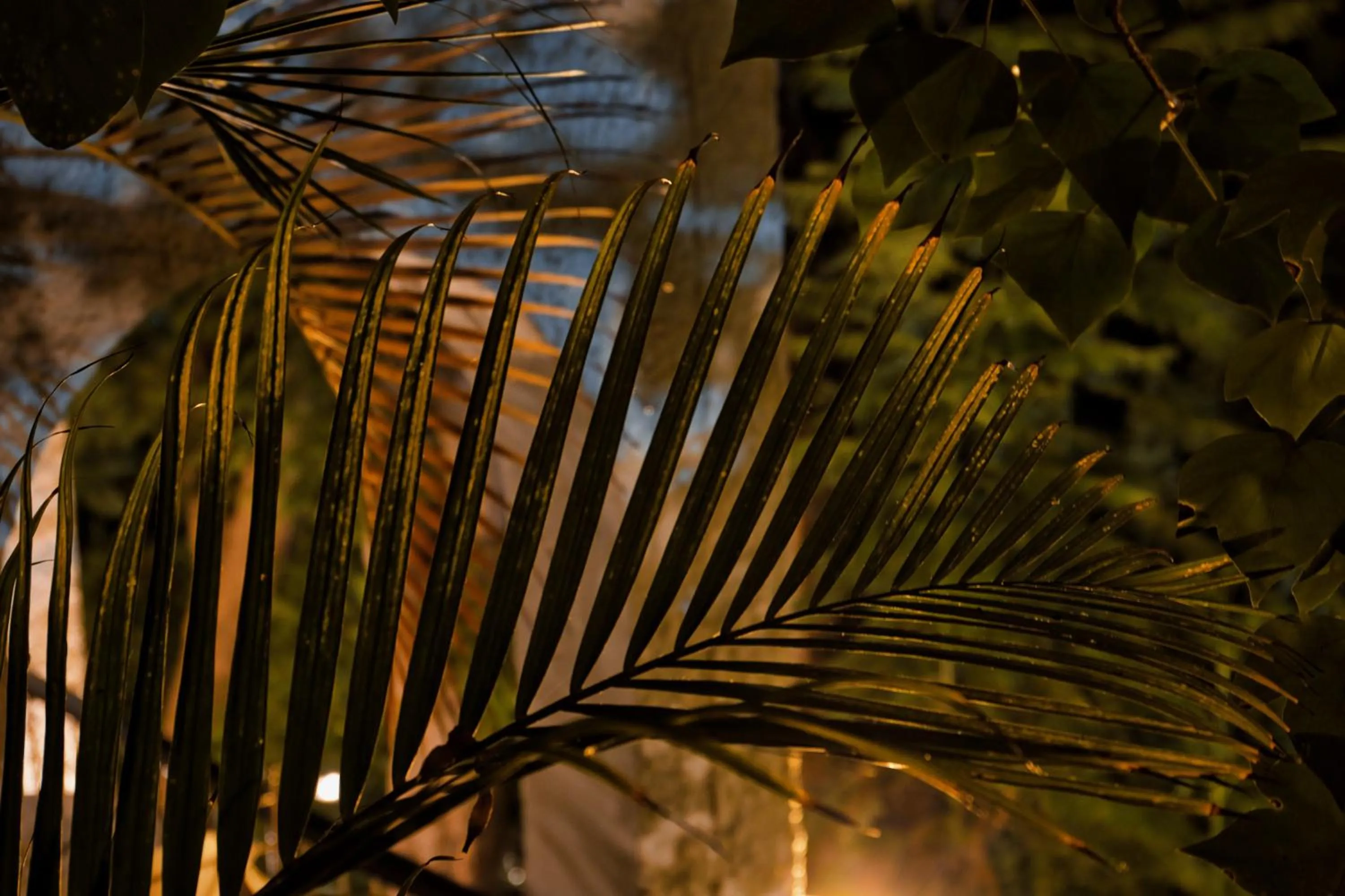 Boutique Hotel Las Islas