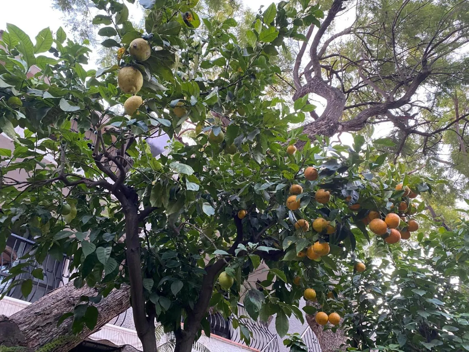 Boutique Hotel Las Islas